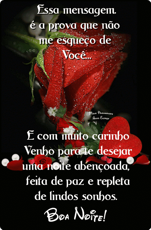 Mensagens bonitas Boa Noite GIF 788