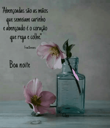 Mensagens bonitas Boa Noite GIF 798