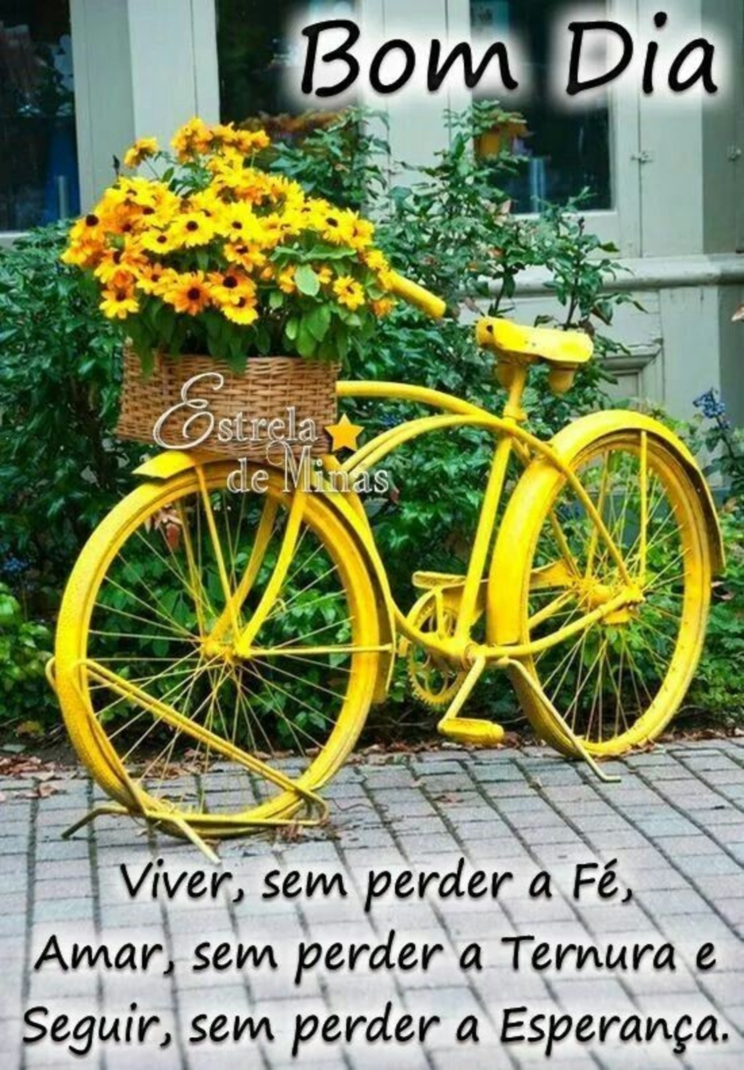 Mensagens bonitas Bom Dia 530