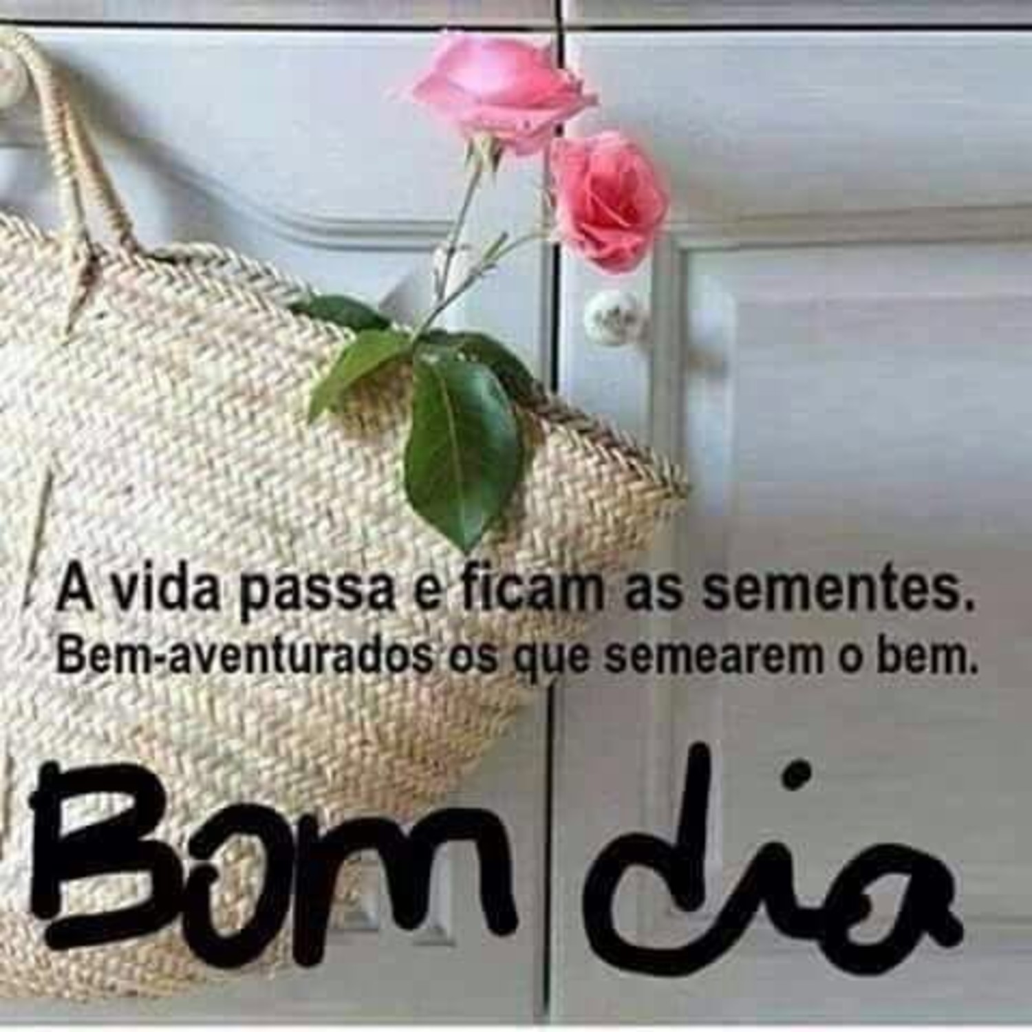 Mensagens bonitas Bom Dia 534