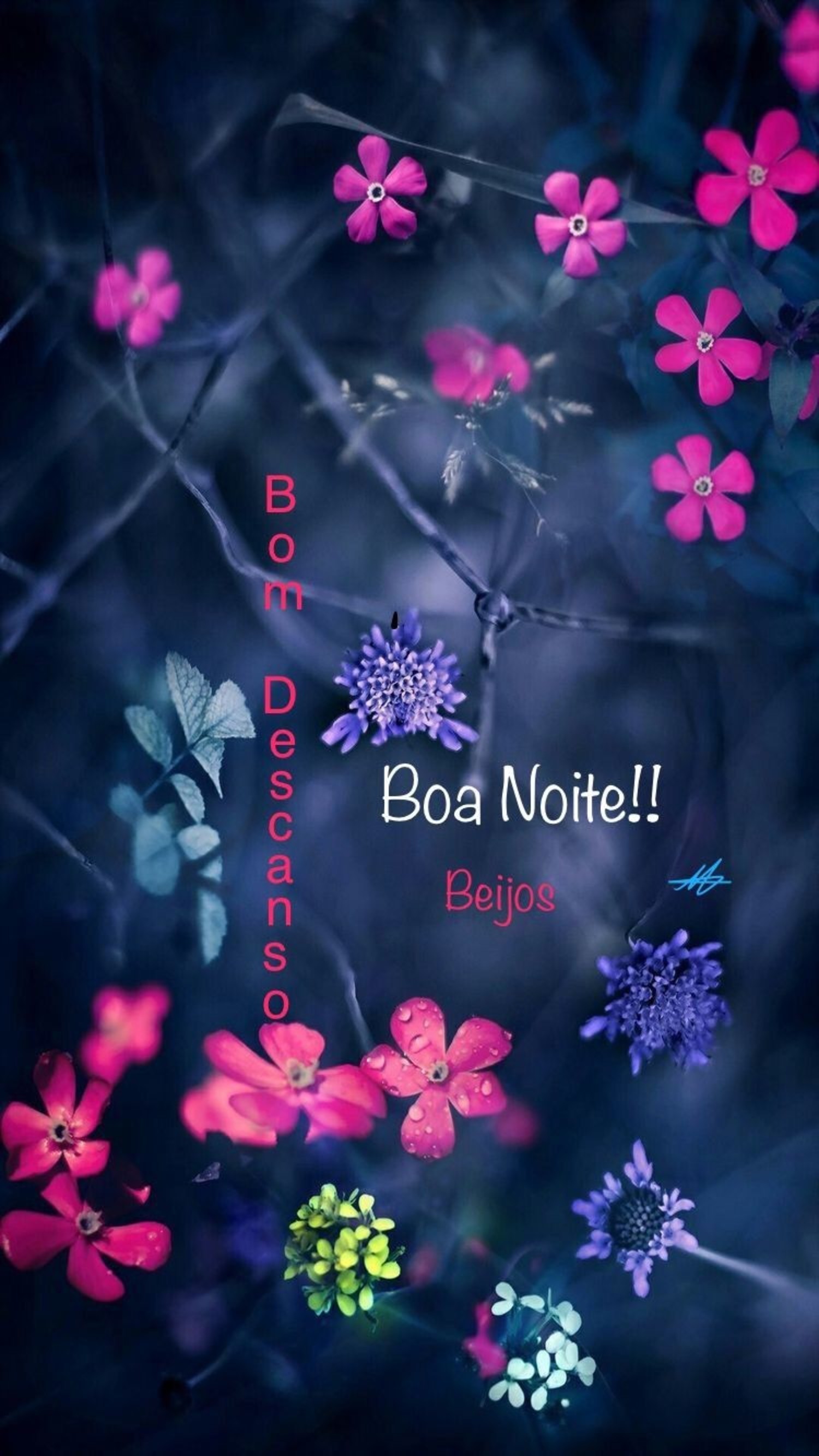 Mensagens de Boa Noite imagens 888