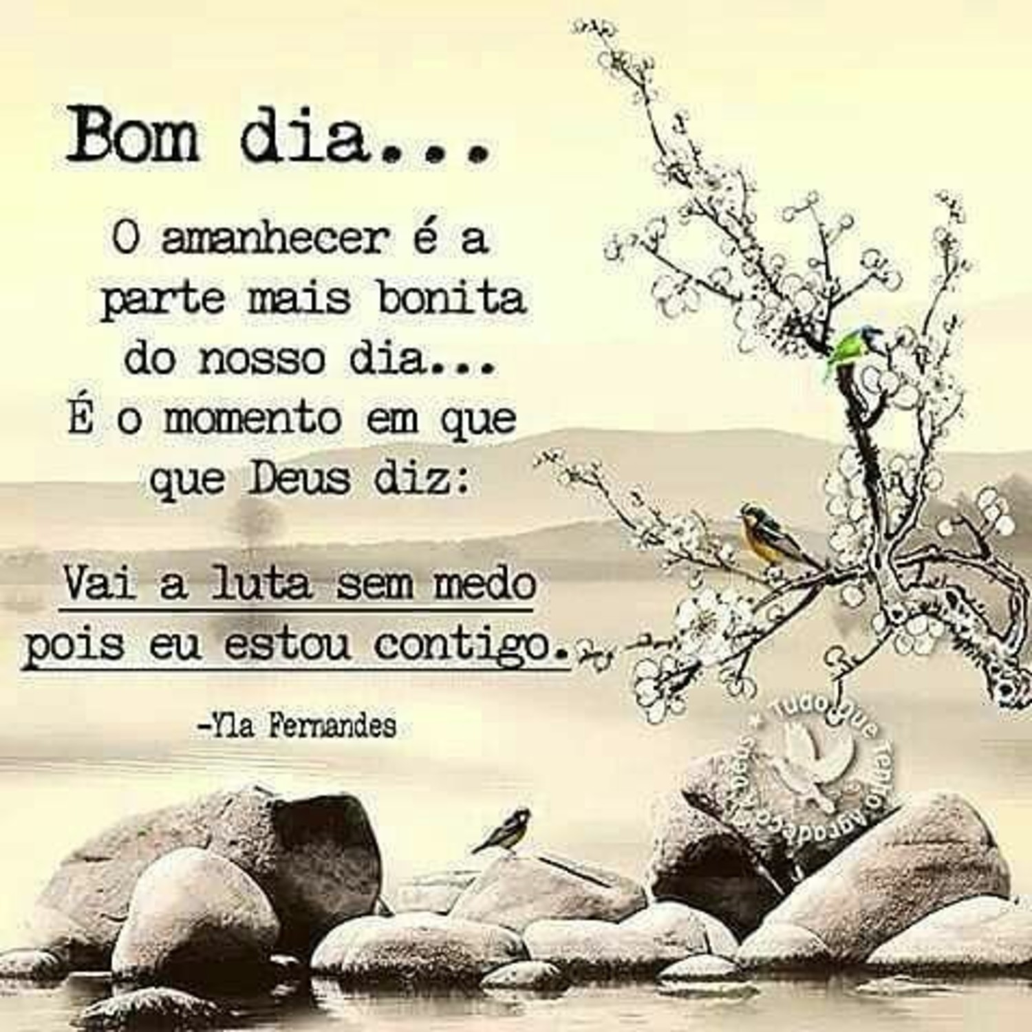 Mensagens de Bom Dia belas mensagens 881 Mensagens de Bom Dia belas mensagens 881