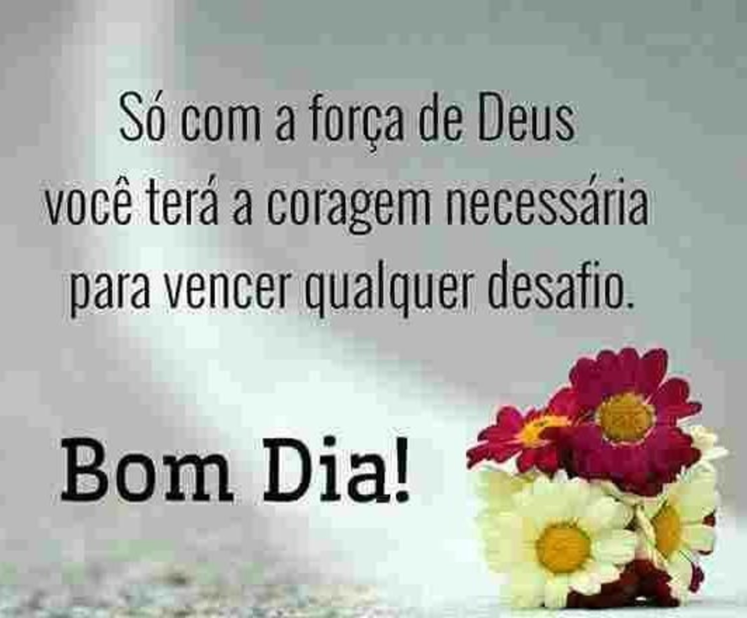 Mensagens de Bom Dia belas mensagens 891