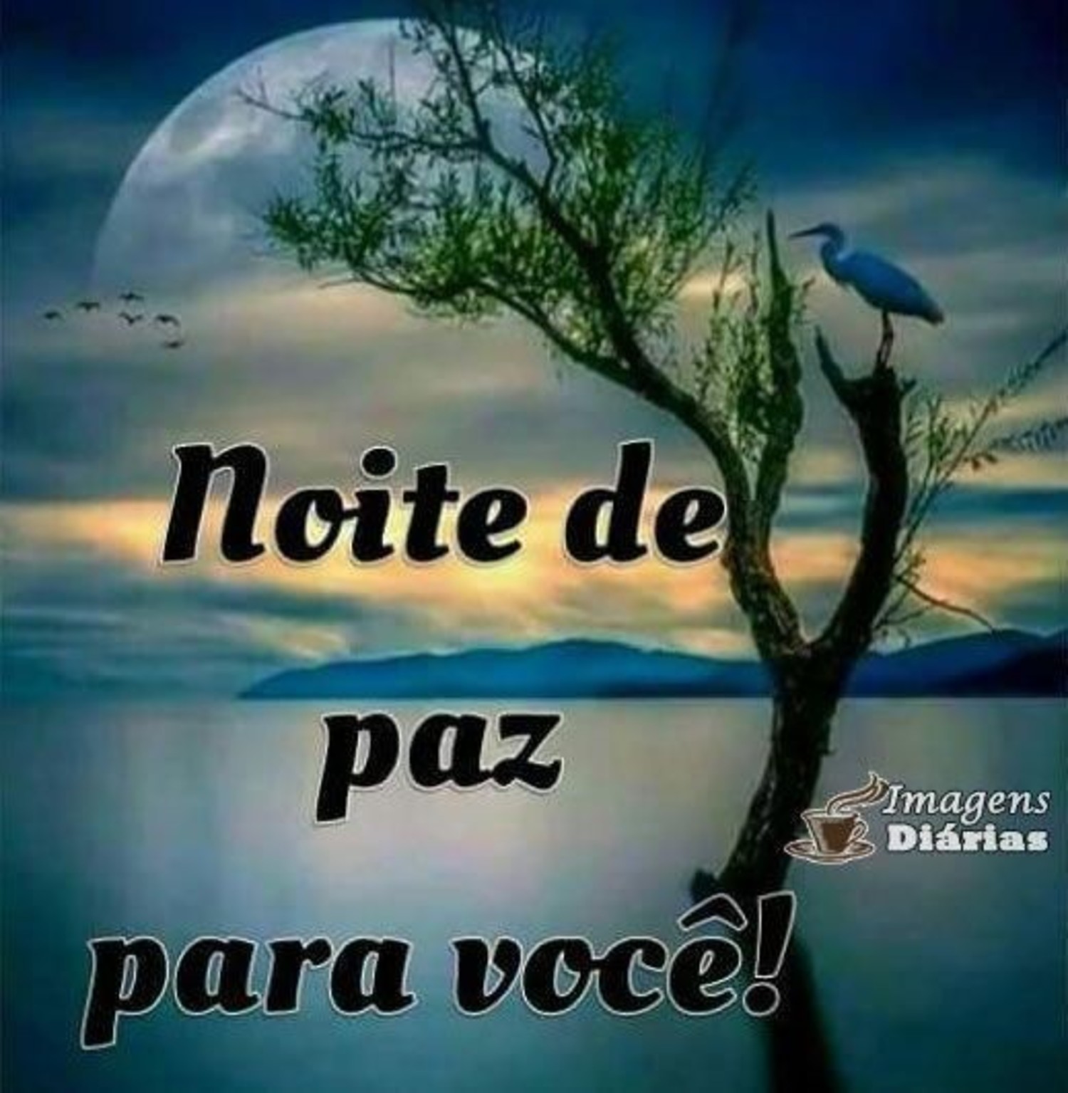 Noite de paz para você 929