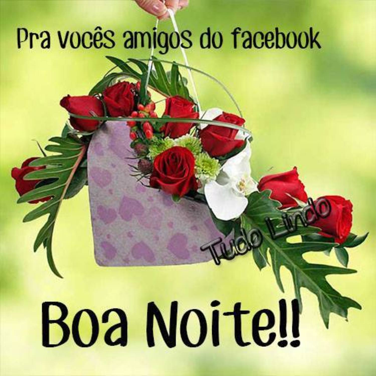 Novas imagens Boa Noite 977