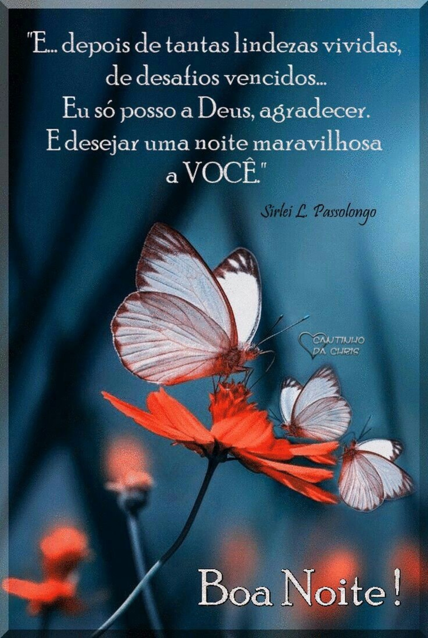 Novas imagens Boa Noite 978