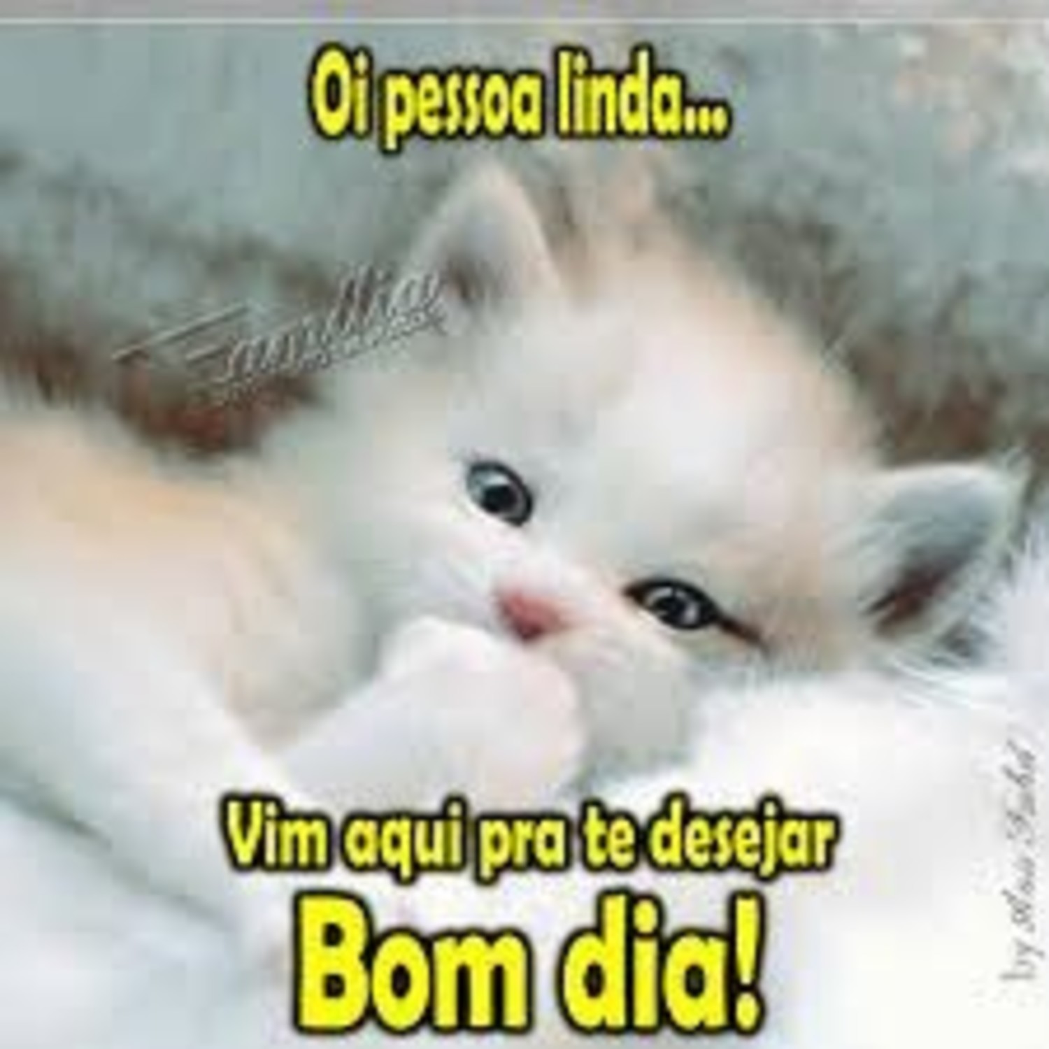 Vim aqui pra te desejar Bom Dia 507 Vim aqui pra te desejar Bom Dia 507
