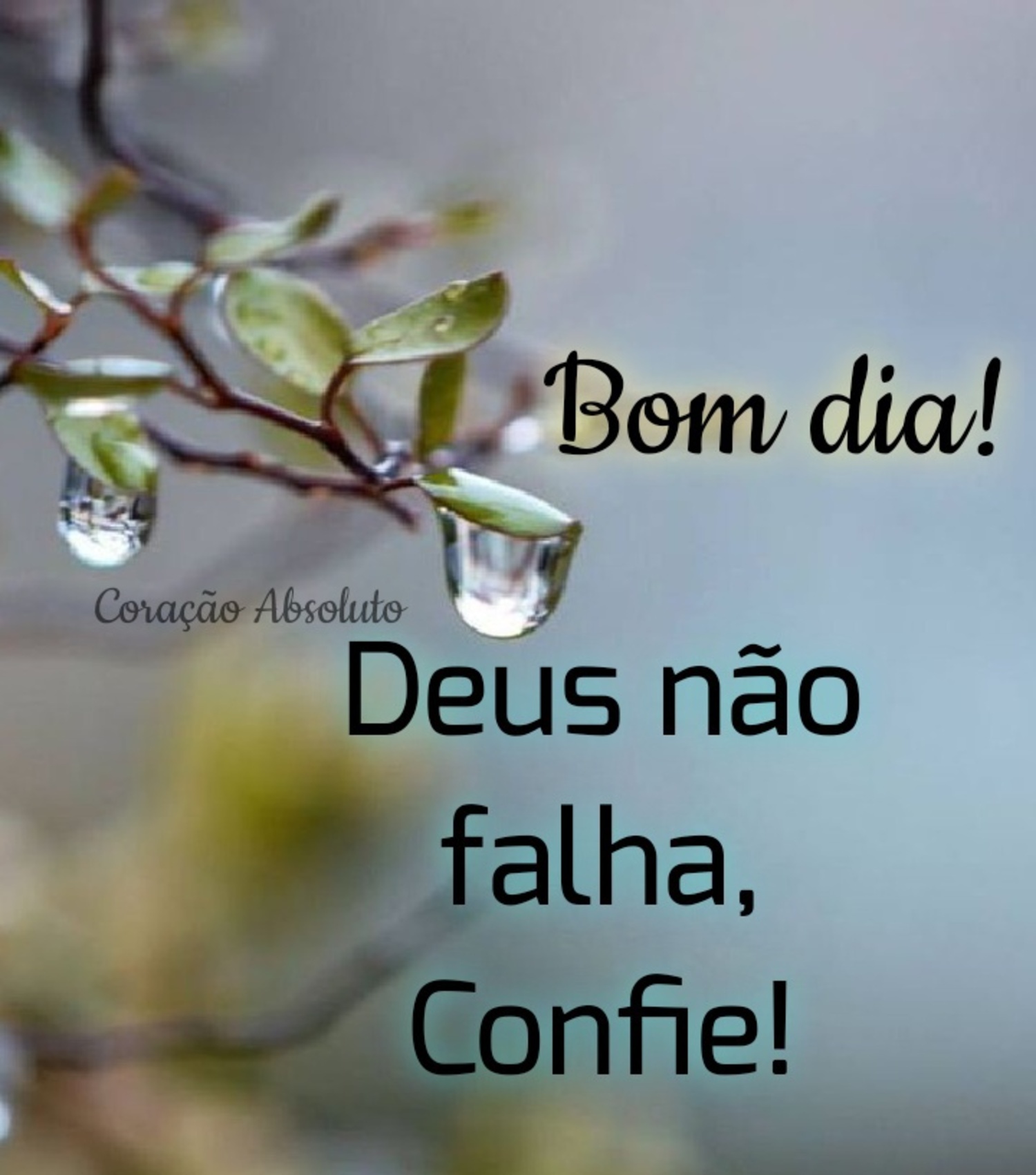 Bom dia Deus não falha confie