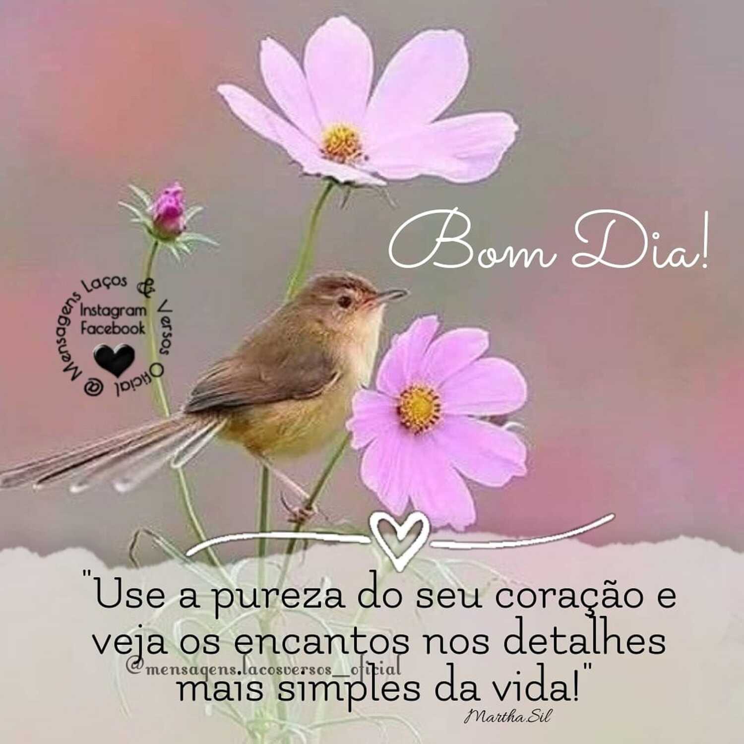 Frases e imagens bonitas de Bom Dia para WhatsApp 6