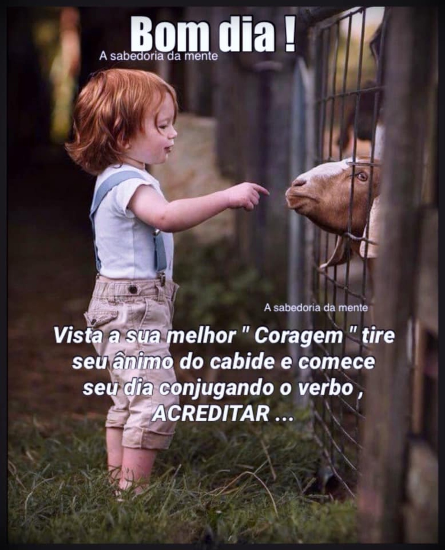 Frases e imagens bonitas de Bom Dia para WhatsApp 8