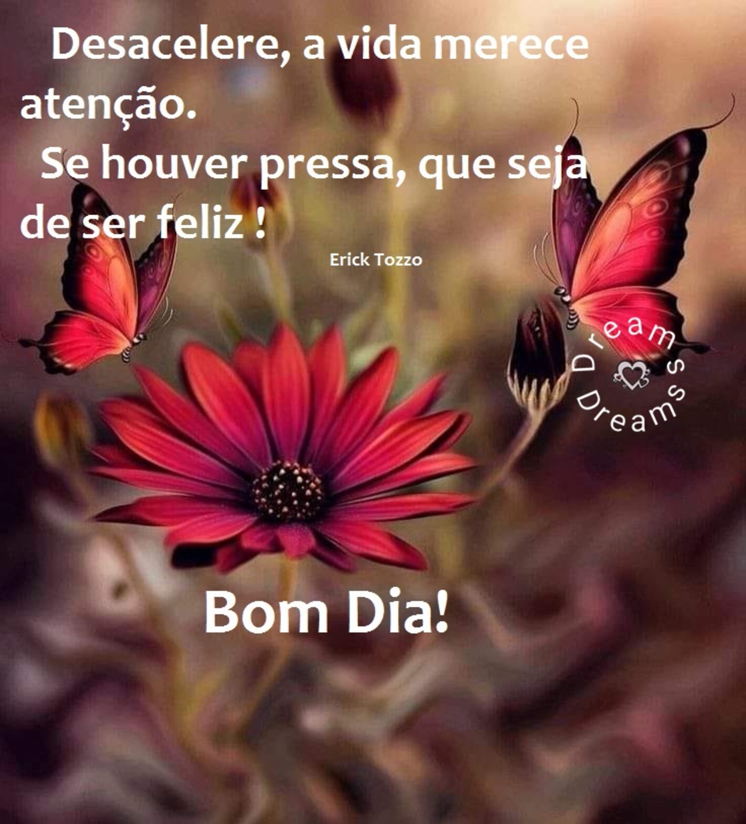 Nova frases de Bom Dia para WhatsApp (5)