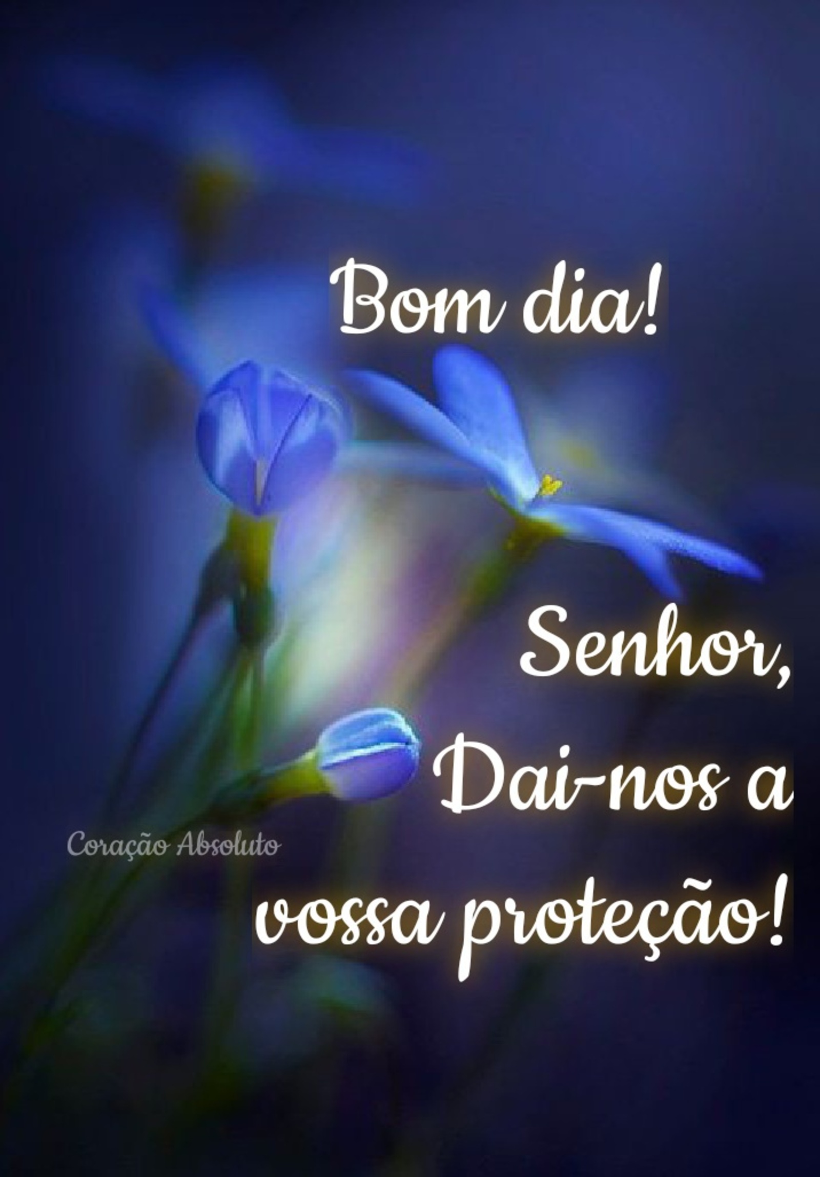 Bom Dia Senhor dai-nos a vossa proteção