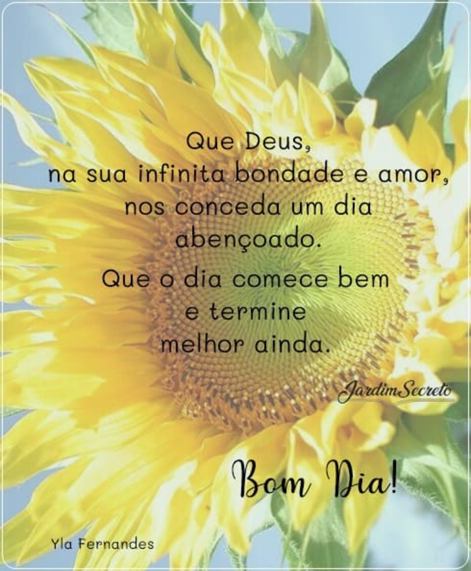 Bom Dia imagens com flores originais (3)