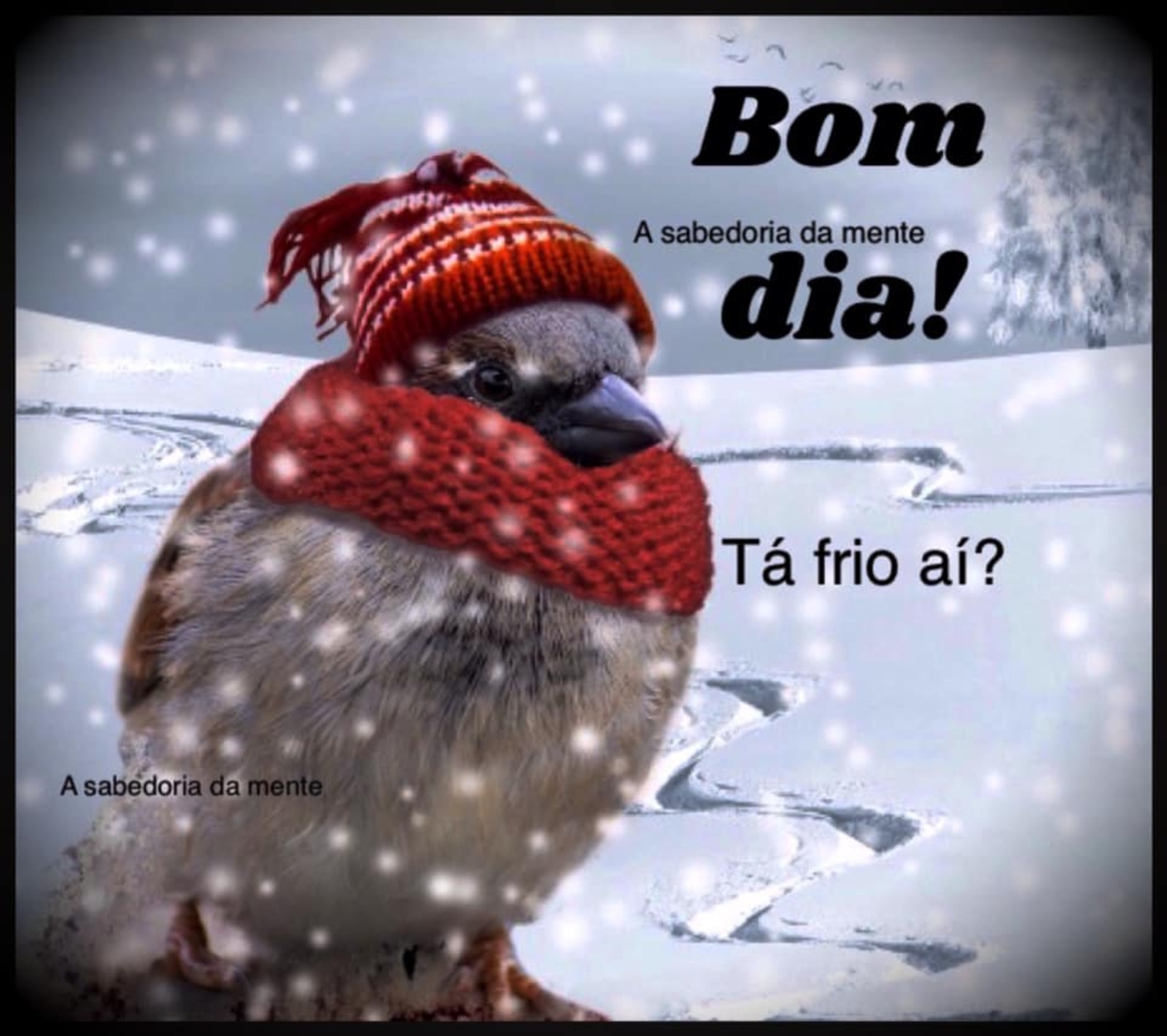 Bom Dia tá frio ai