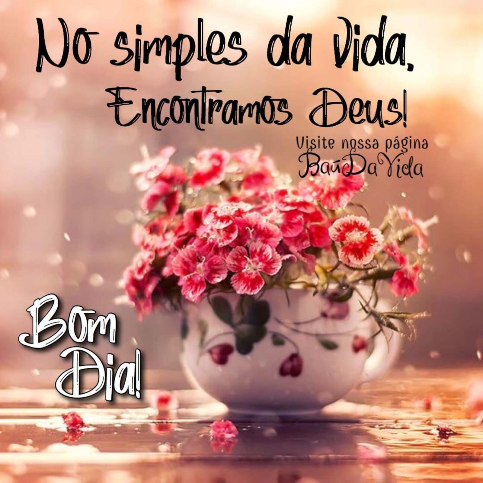 No simples da vida encontramos Deus Bom Dia