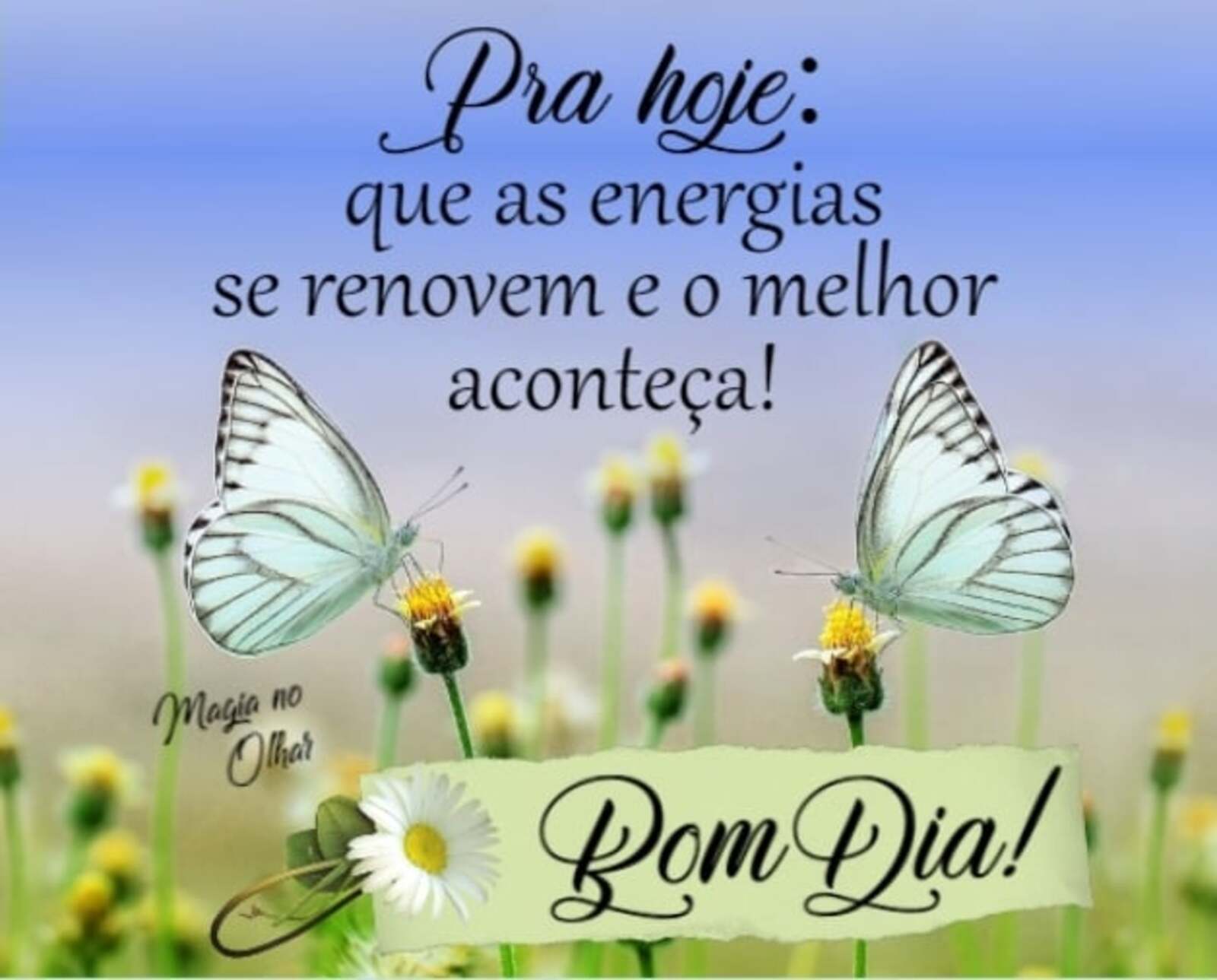 Pra hoje que as energias se renovem e o melhor aconteça Bom Dia