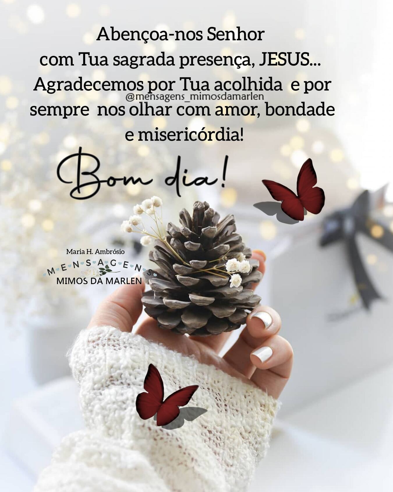 Abençoa nos Senhor Bom Dia Natal