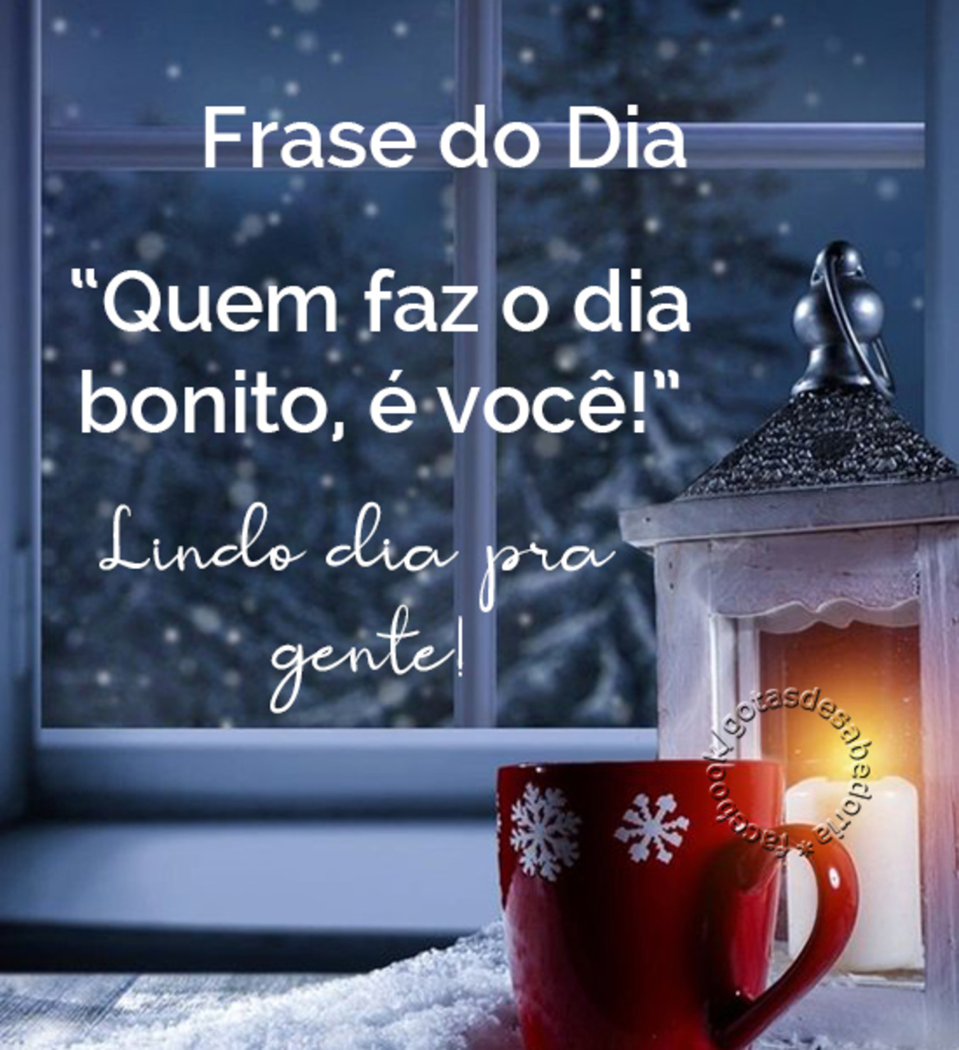 Bom Dia Natal (6)