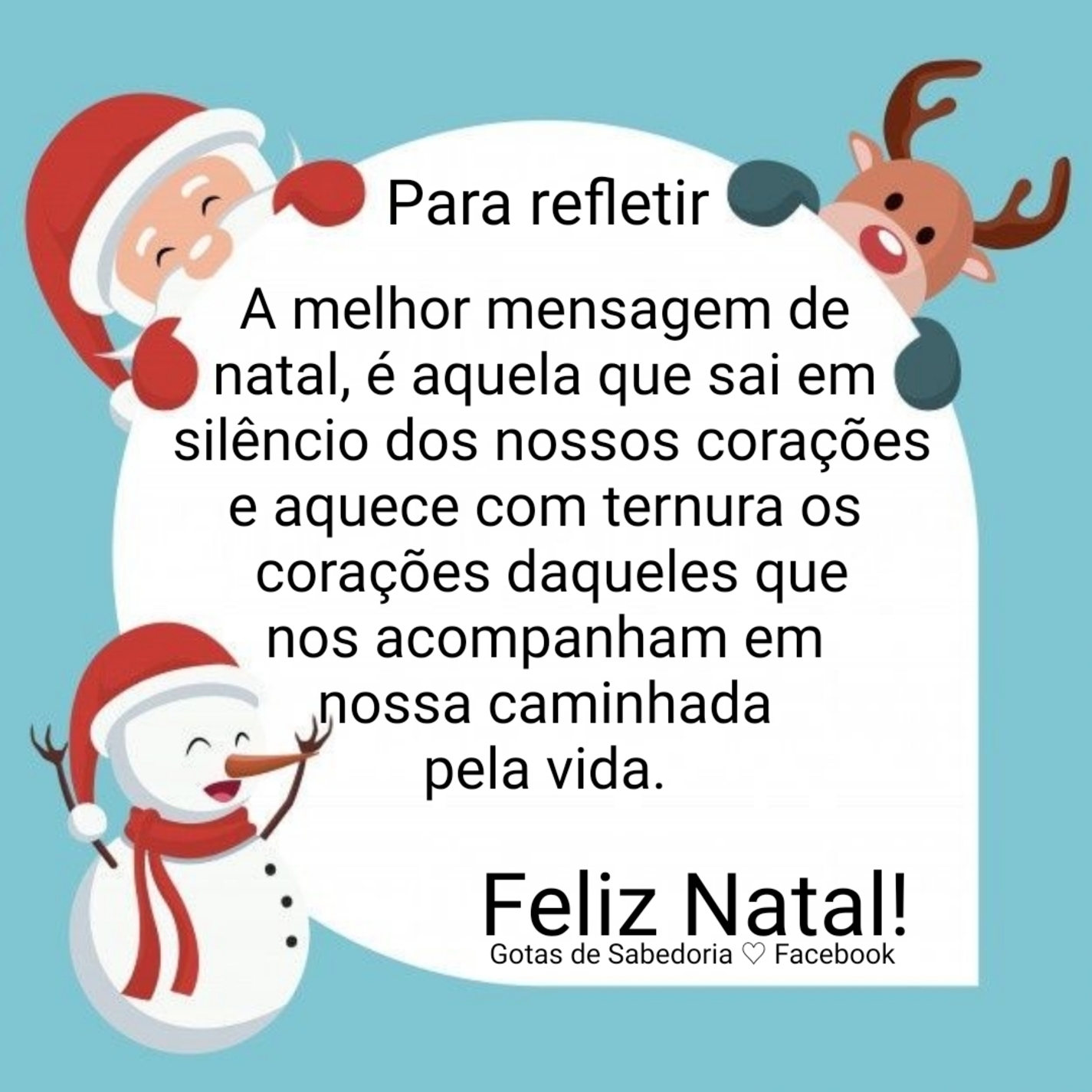 Feliz Natal (5)