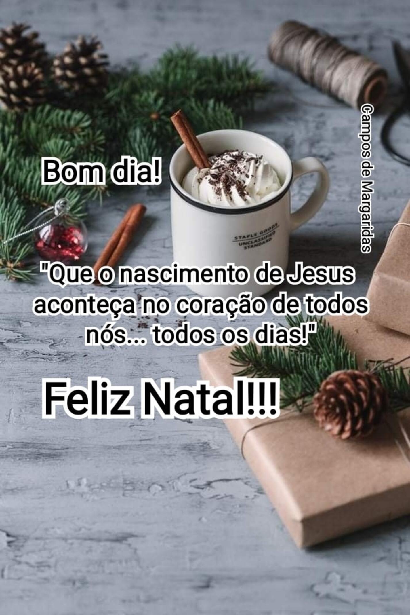 Feliz Natal (6)