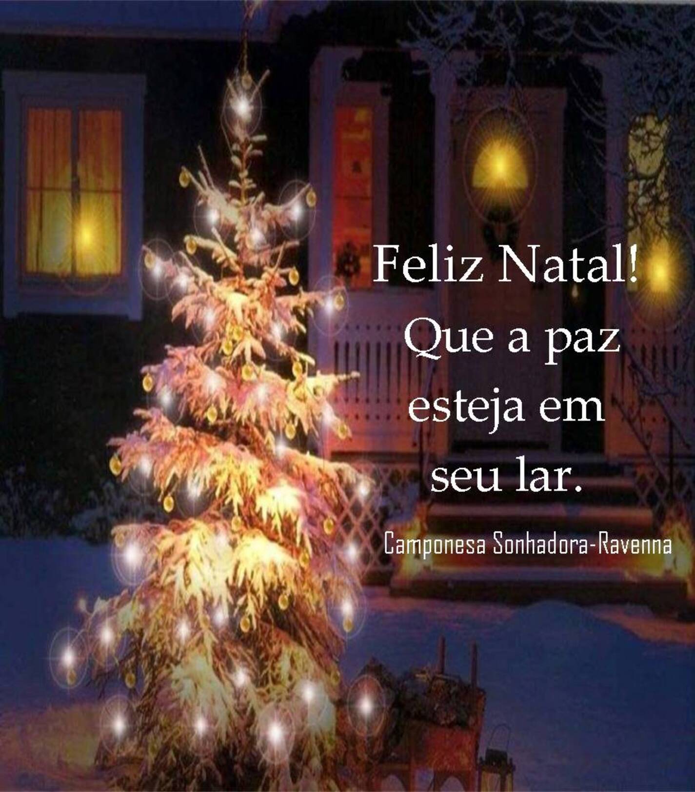 Feliz Natal que a paz esteja em seu lar