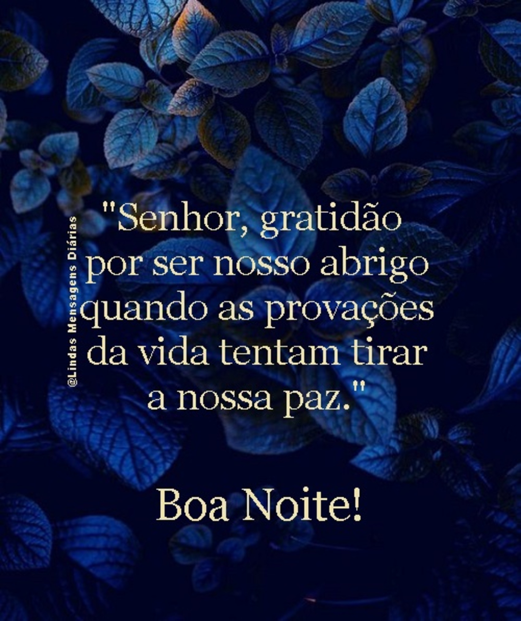 Boa Noite Senhor gratidão por ser nosso abrigo quando as provações da vida