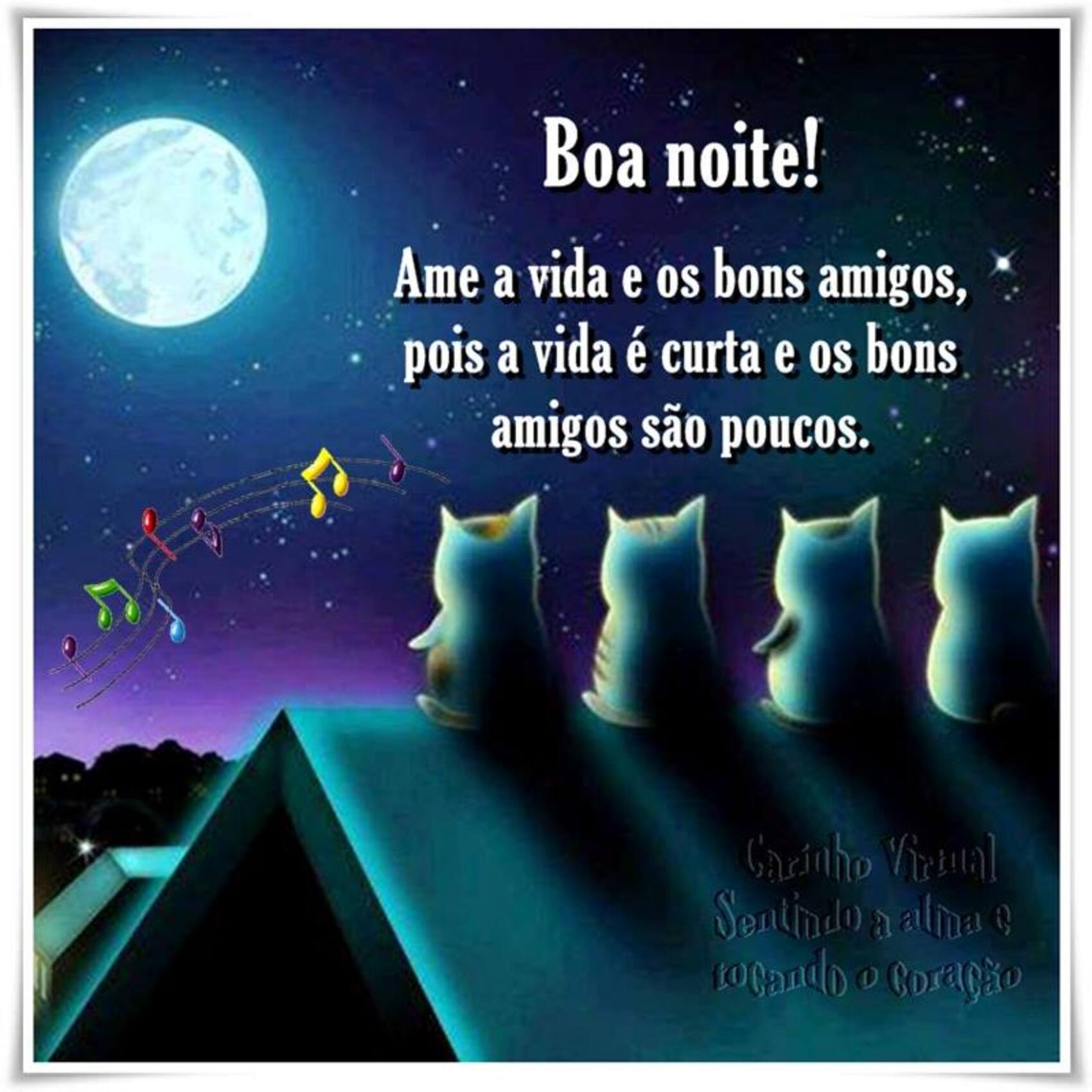 Boa Noite ame a vida e os bons amigos pois a vida é curta e os bons amigos são poucos