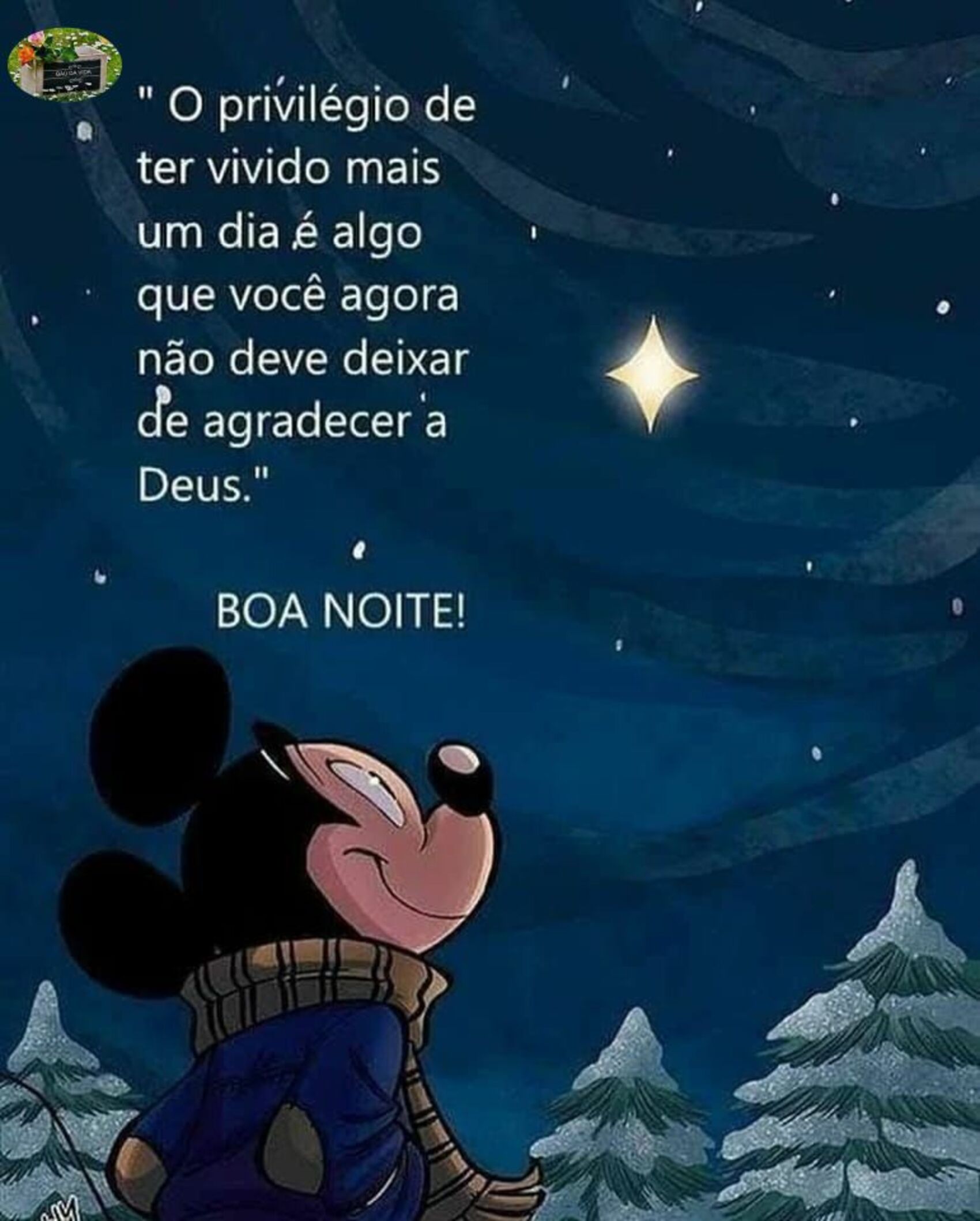 Boa Noite o prívilegio de ter vivido mais um dia é algo que você agora não deve deixar