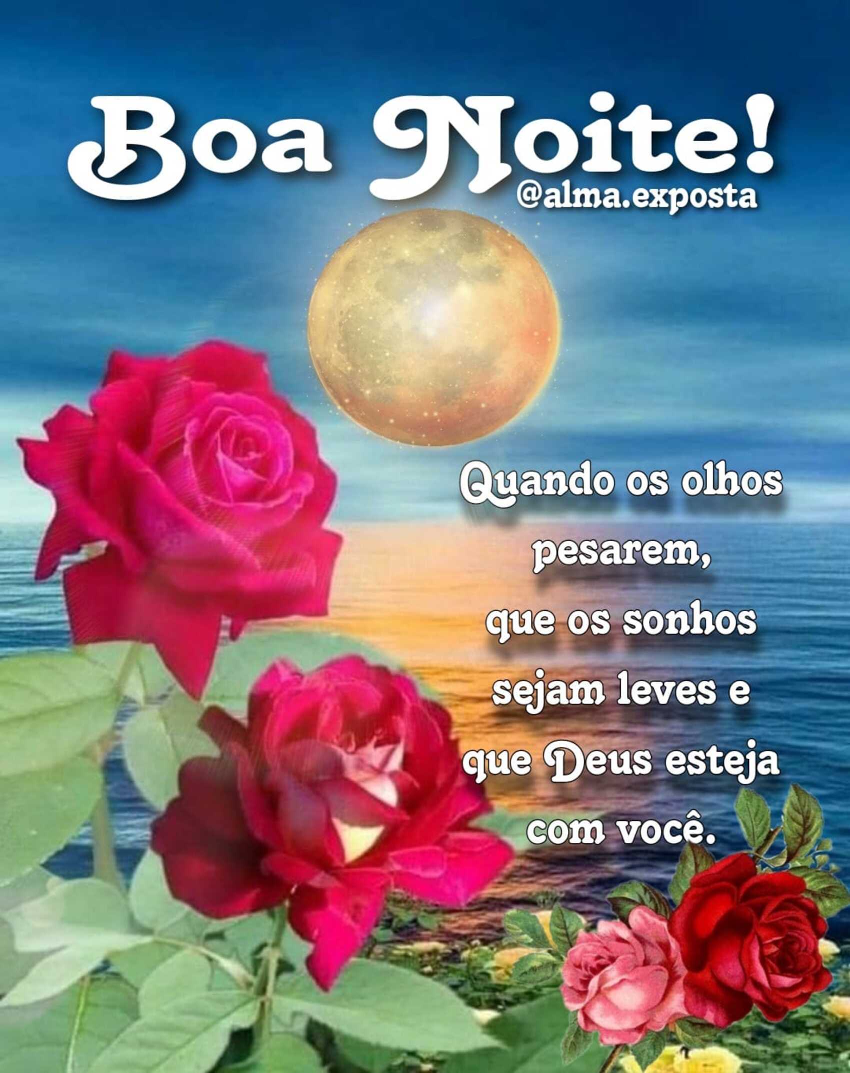 Boa Noite quando os olhos pesarem que os sonhos sejam leves e que Deus esteja com você