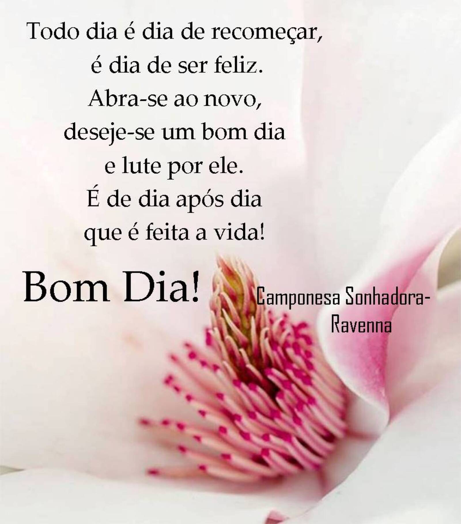 Bom Dia todo dia é dia de recomeçar é dia de ser feliz