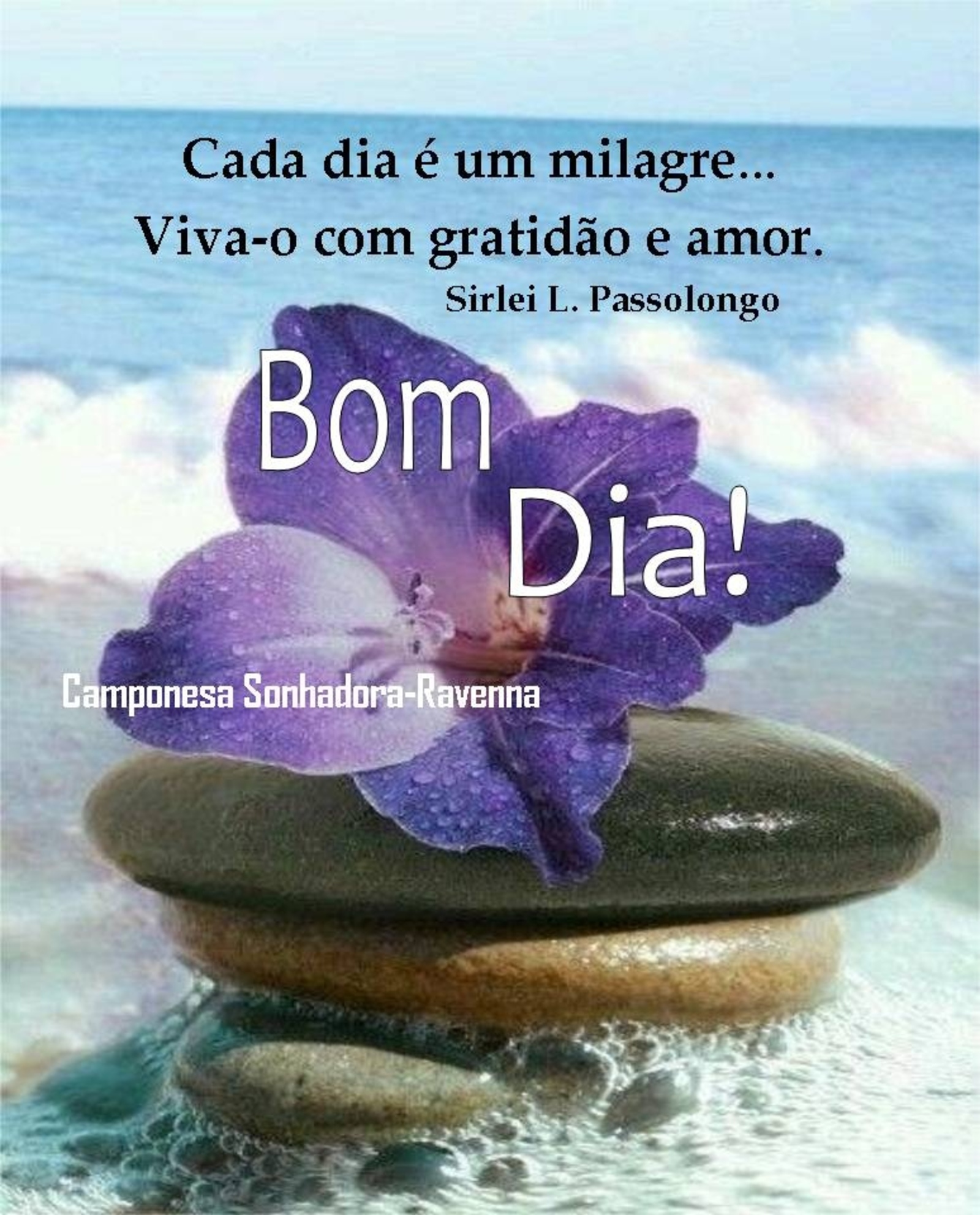 Cada dia é um milagre viva-o com gratidão e amor Bom Dia