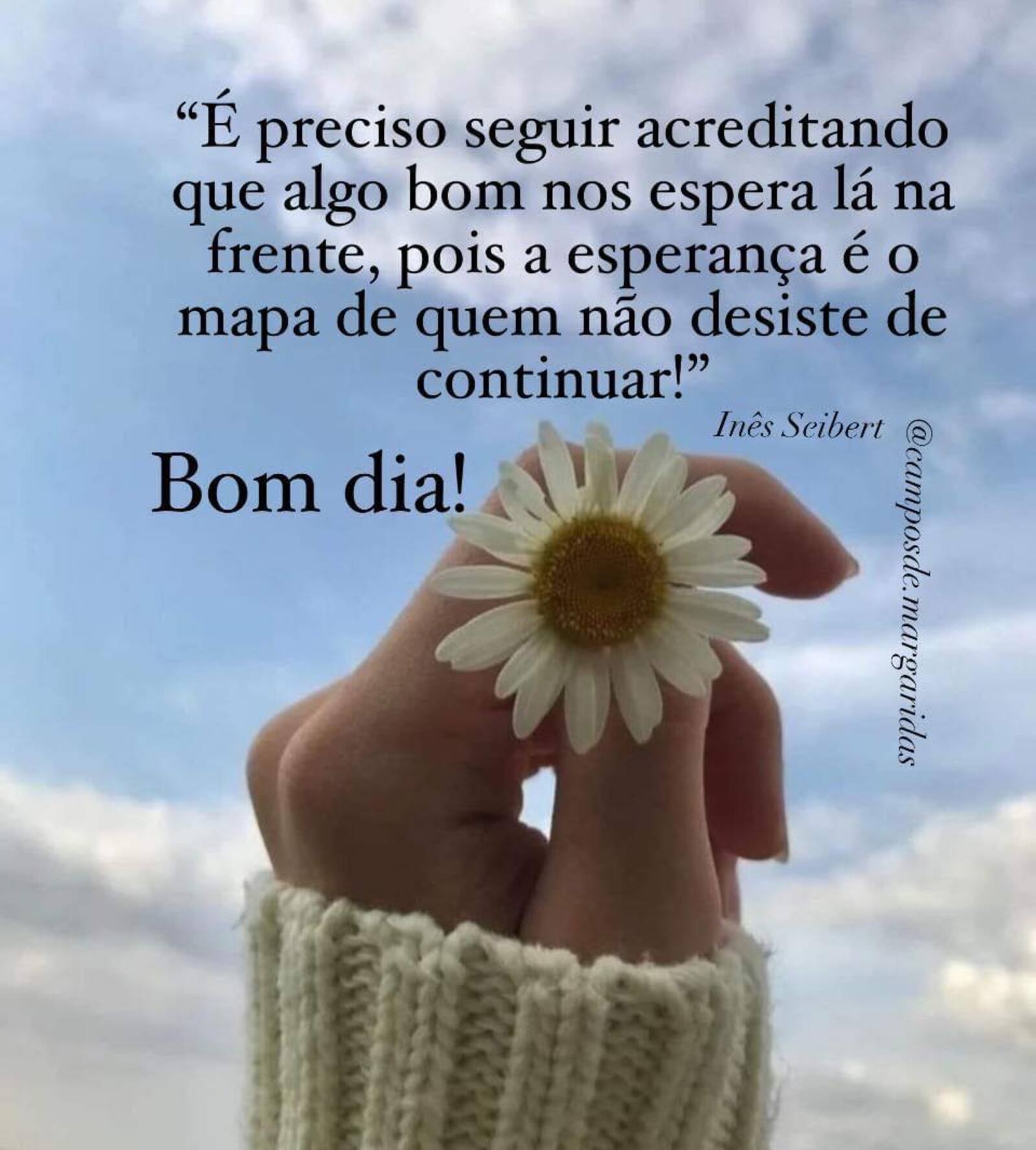 É preciso seguir acreditando que algo bom nos espera lá na frente pois a esperança é o mapa de quem