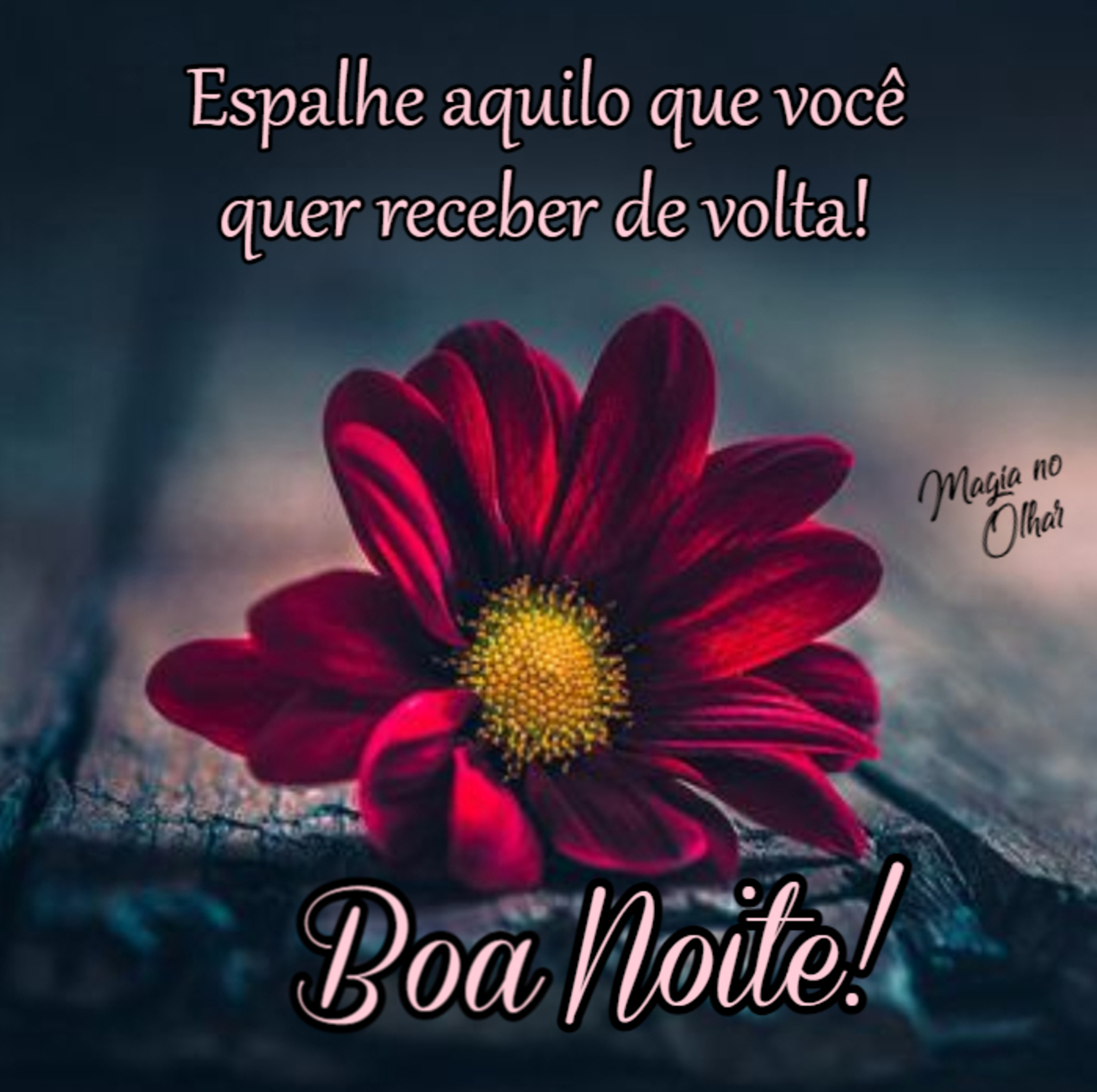 Espalhe aquilo que você quer receber de volta Boa Noite