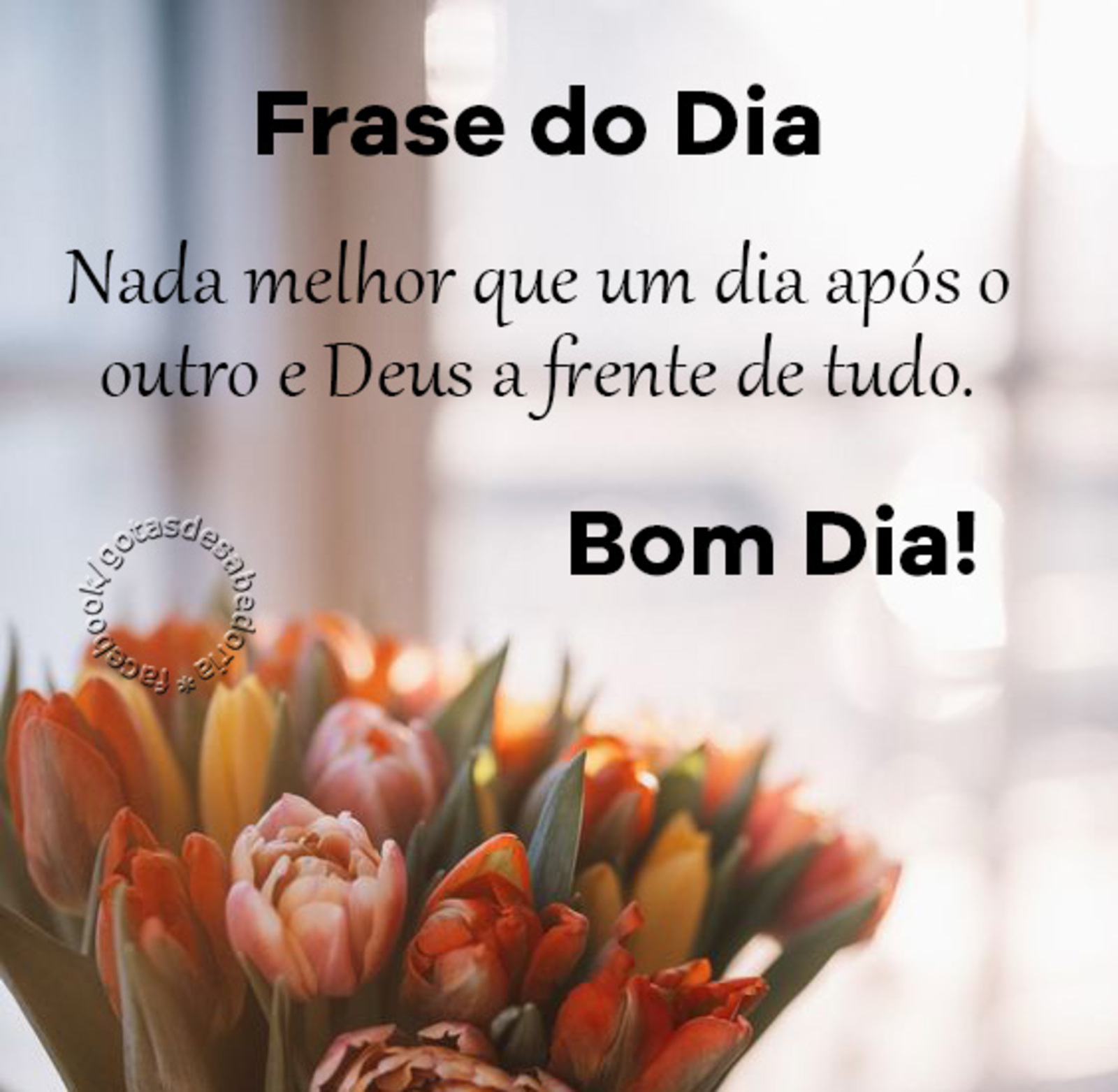 Frase do dia nada melhor que um dia após o outro e Deus a frente de tudo Bom Dia