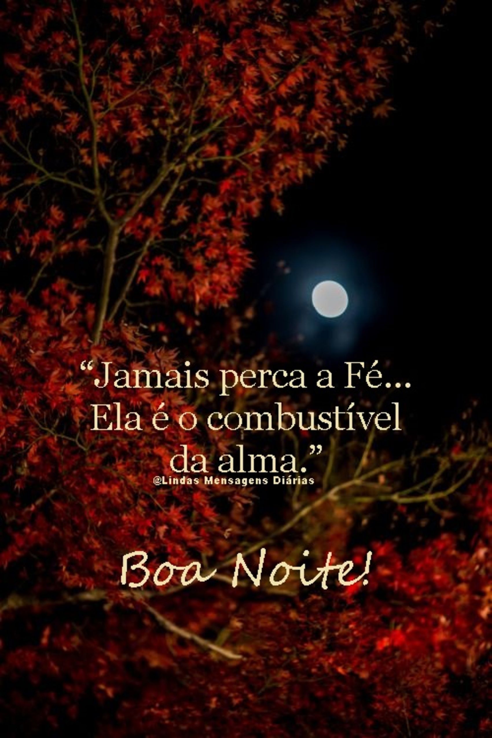 Jamais perca a Fé Ela é o combustível da alma Boa Noite