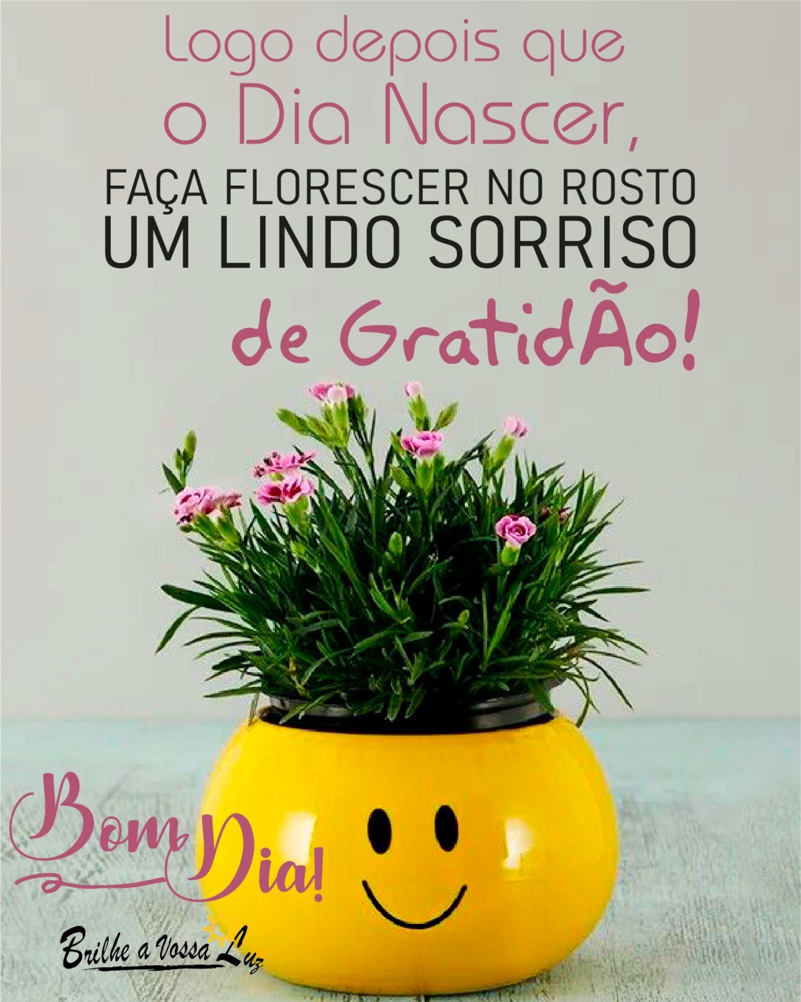 Logo depois que o dia nascer faça florescer no rosto um lindo sorriso de gratidão Bom Dia