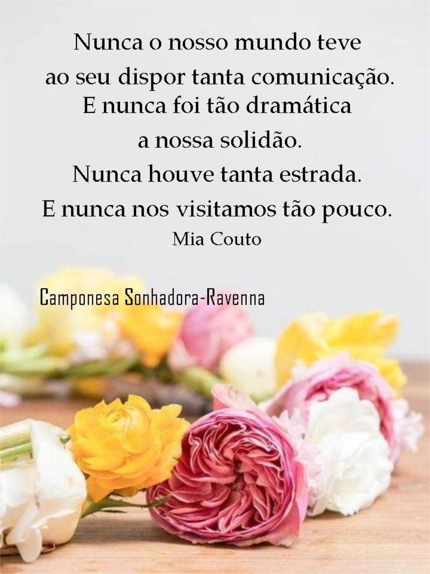 Nunca o nosso mundo teve ao seu dispor tanta comunicação