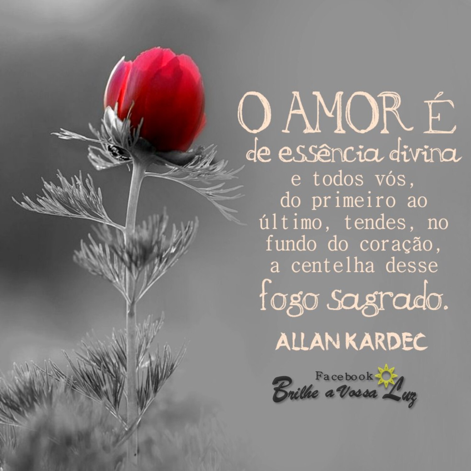 O amor é de essência divina e todos vós do primeiro ao último tendes no fundo do coração