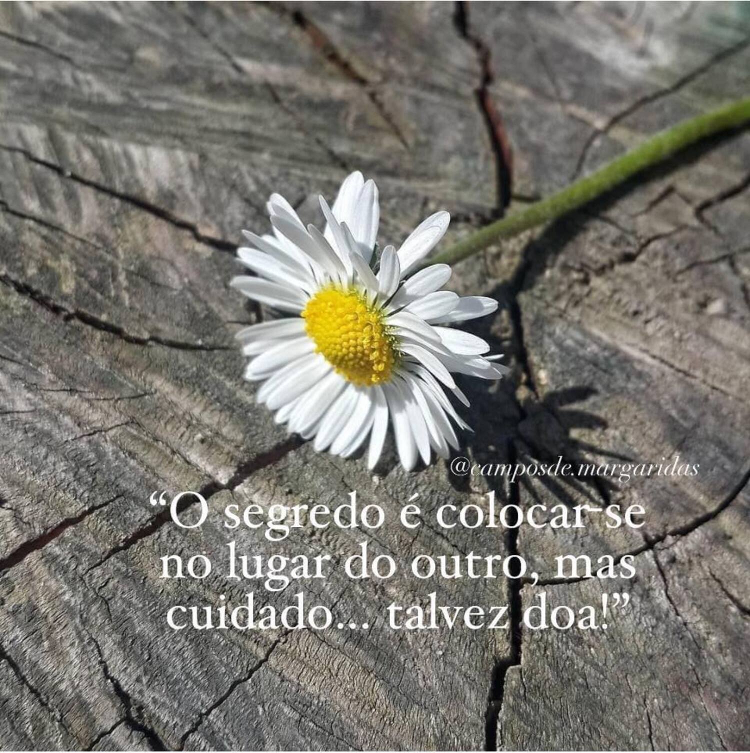 O segredo é colocar-se no lugar do outro mas cuidad talvez doa
