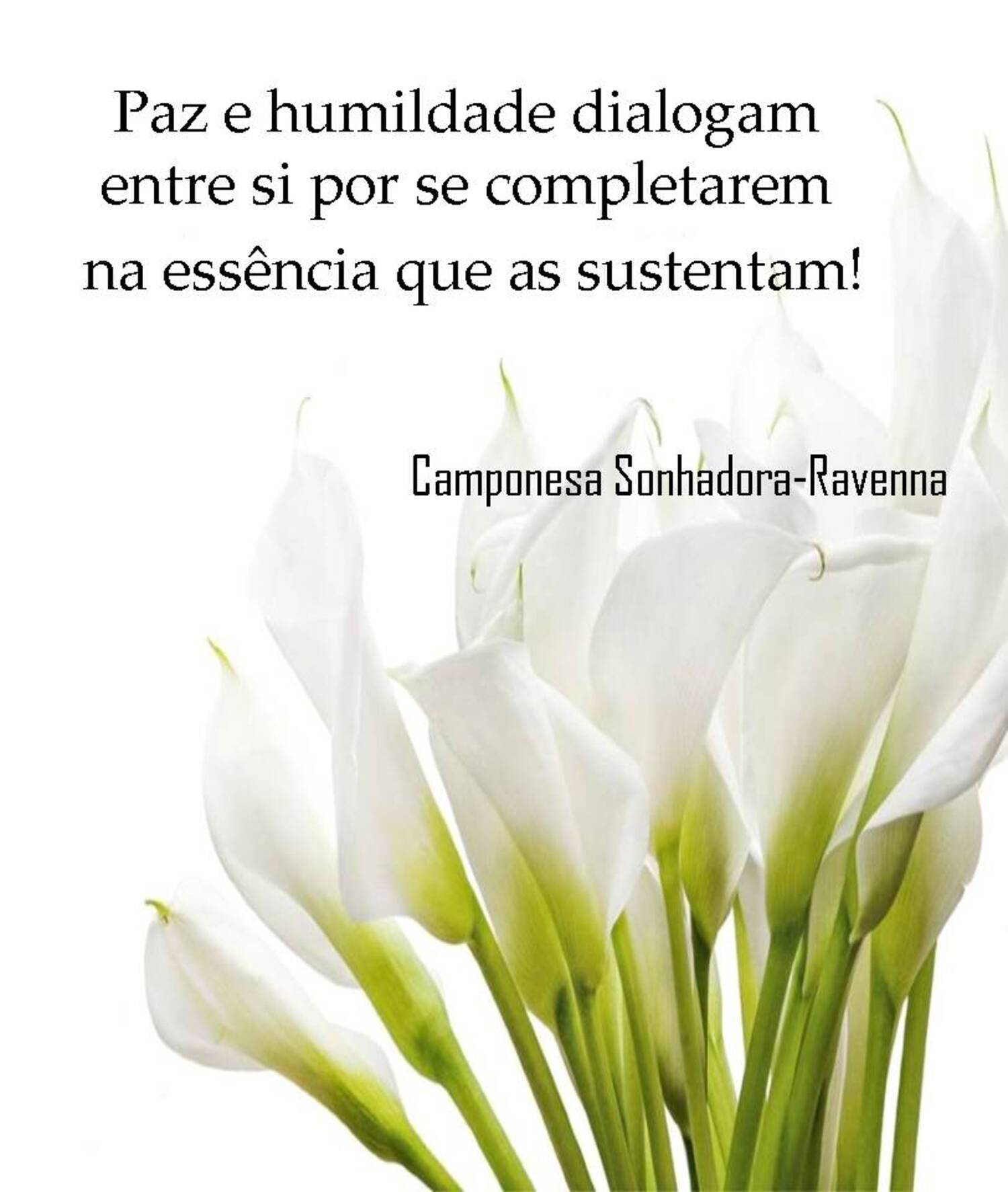 Paz e humildade dialogam entre si por se completarem na essência que as sustentam