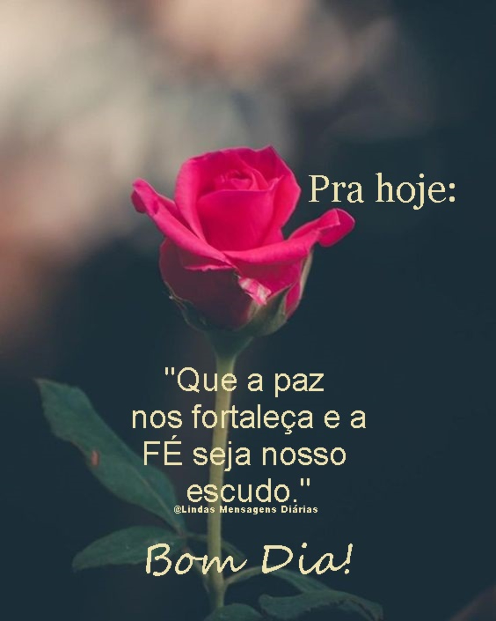 Pra hoje que a paz nos fortaleça e a Fé seja nosso escudo Bom Dia