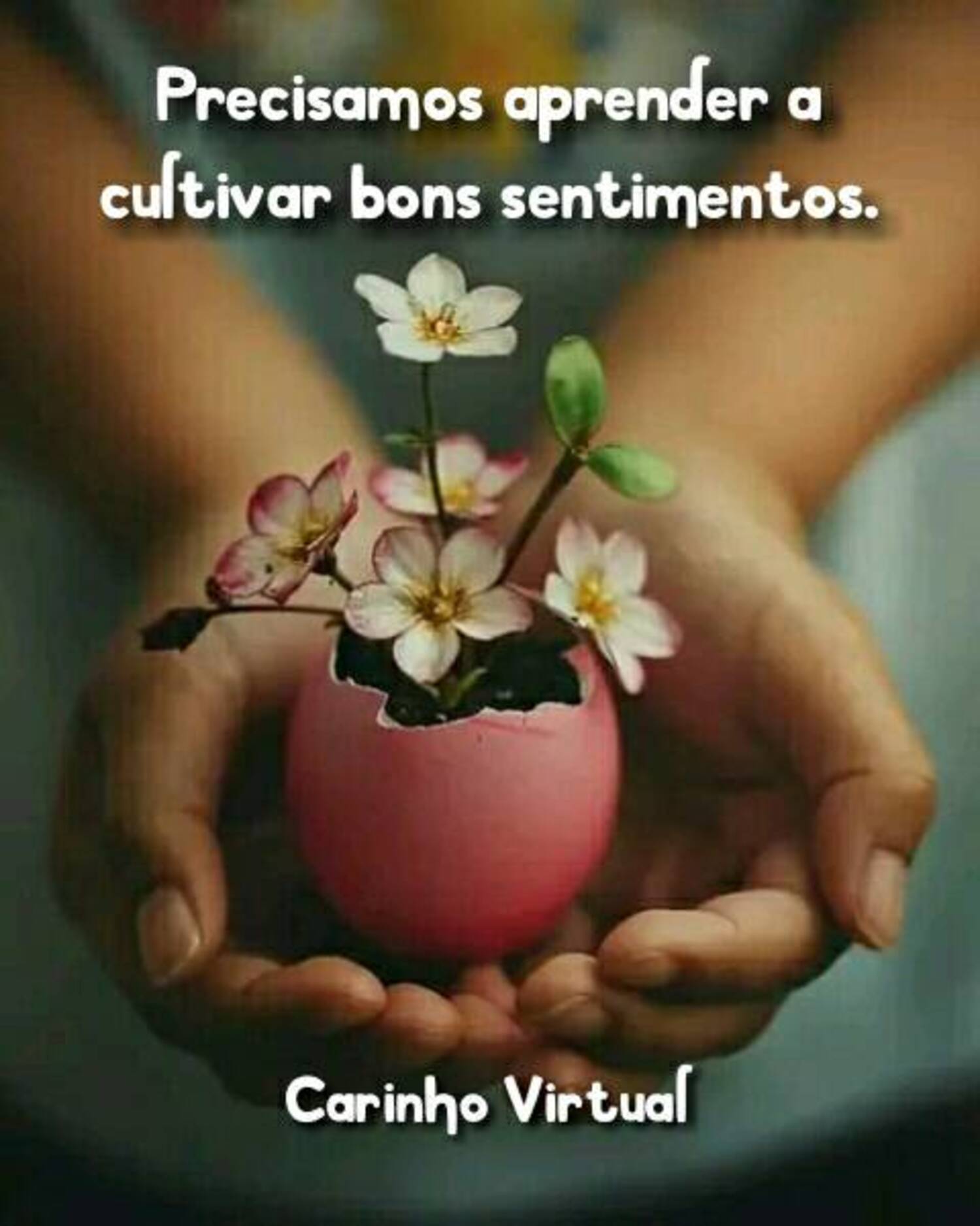 Precisamos aprender a cultivar bons sentimentos