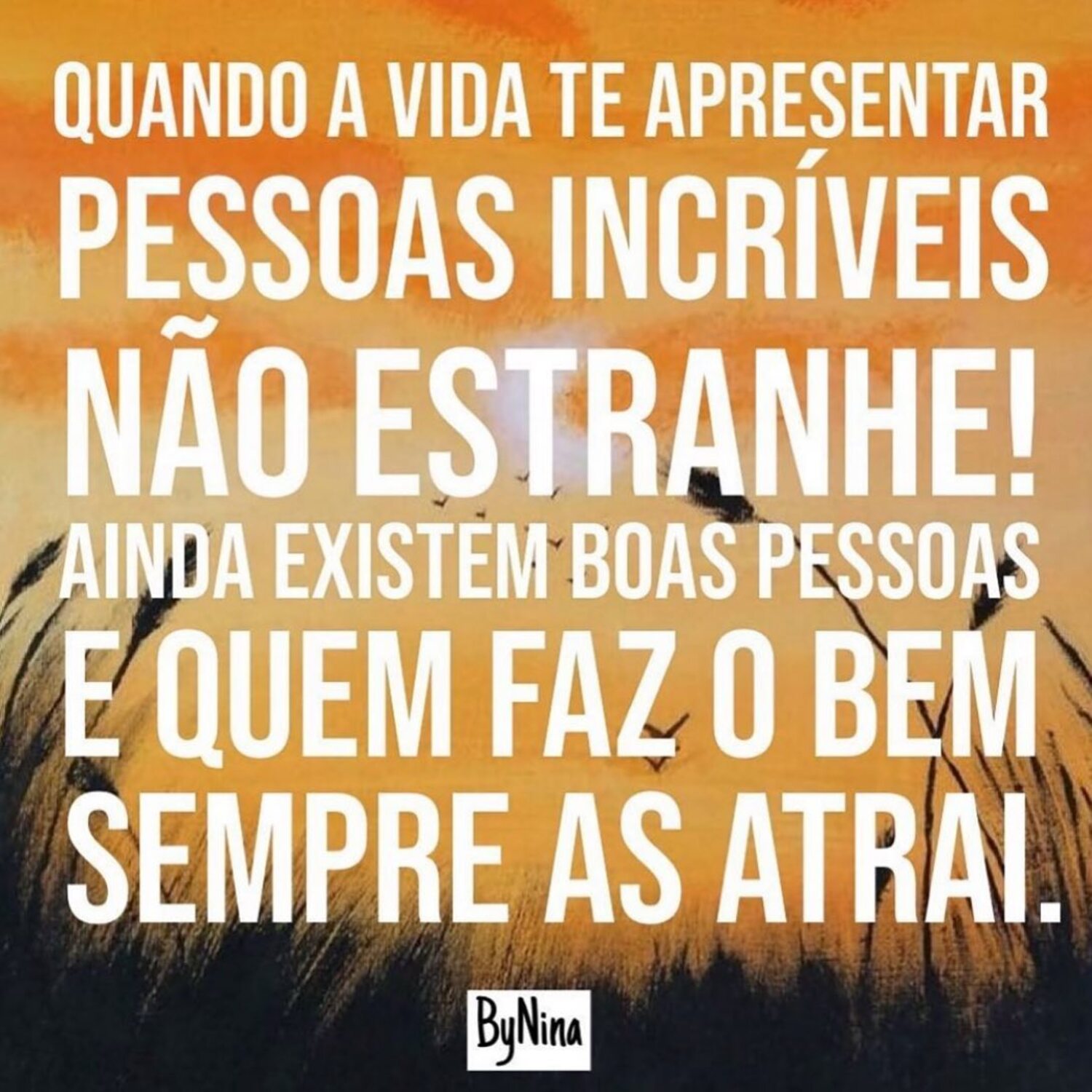 Quando a vida te apresentar pessoas incríveis não estranhe