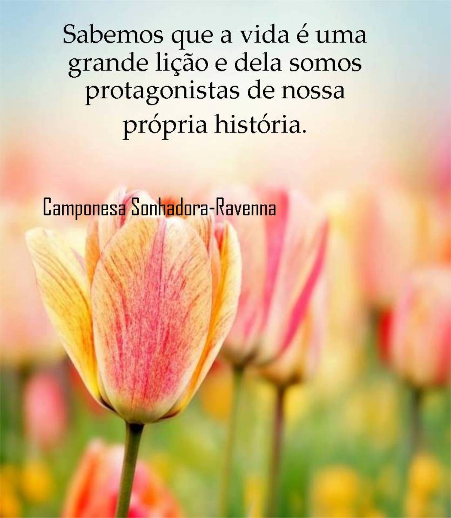 Sabemos que a vida é uma grande lição e dela somos protagonistas de nossa própria história
