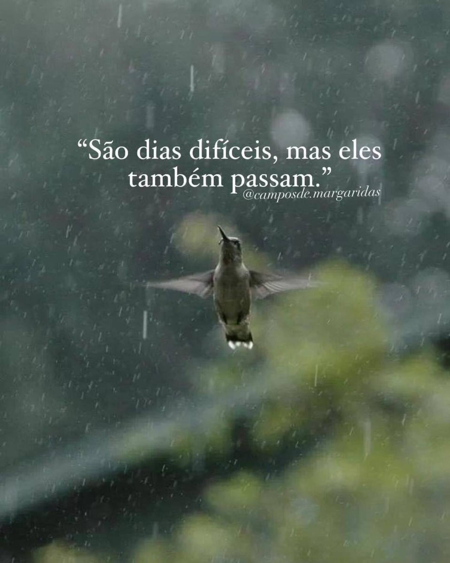 São dias difíceis mas eles também passam