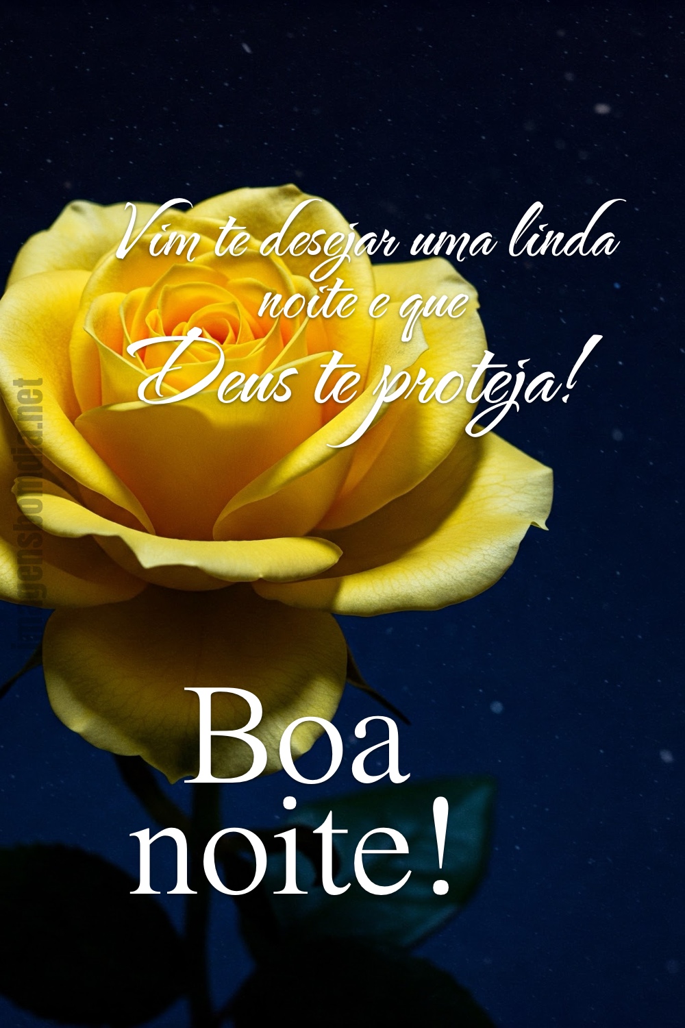 Vim te desejar uma linda noite e que Deus te proteja! Boa noite!