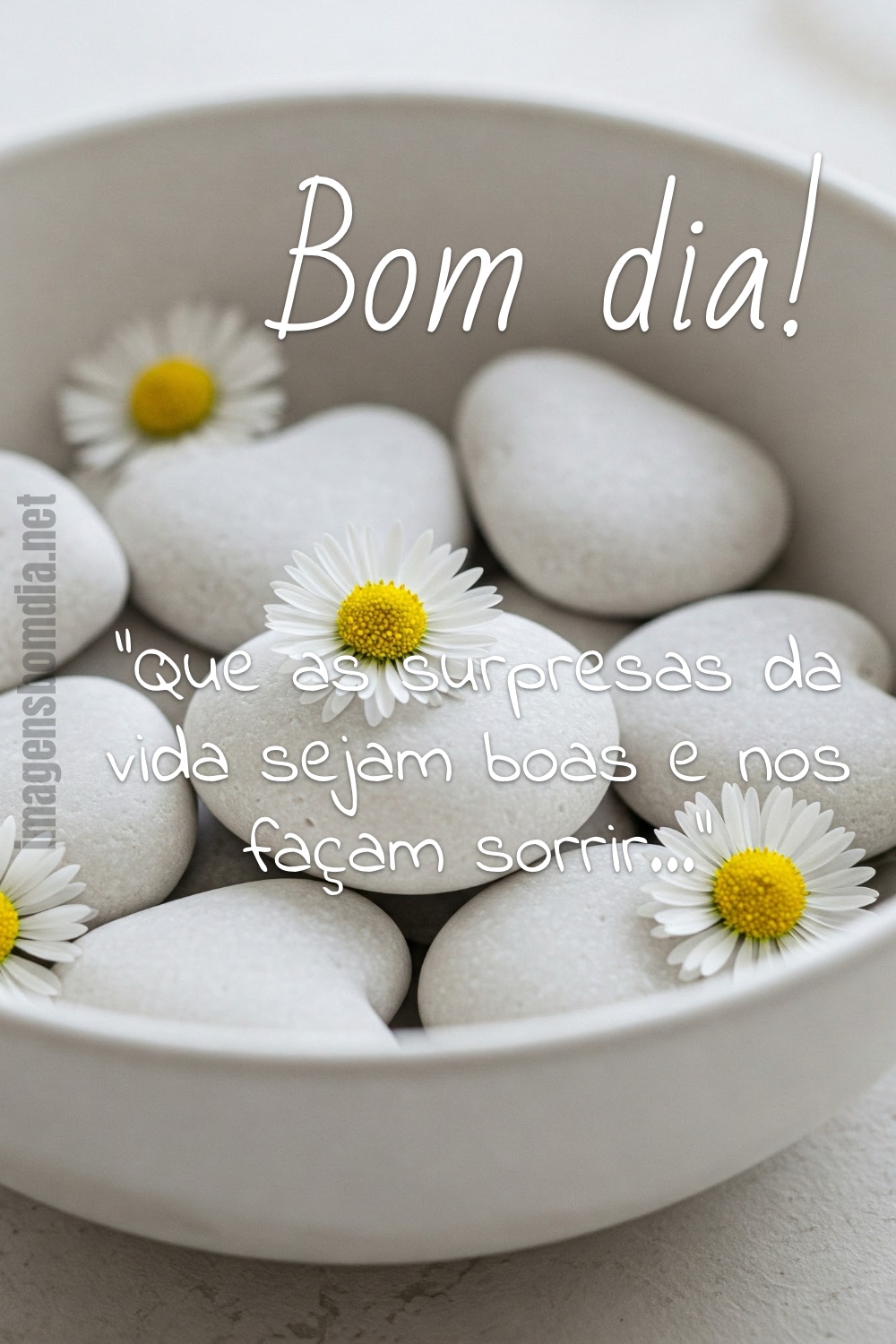 Bom dia! “Que as surpresas da vida sejam boas e nos façam sorrir...”