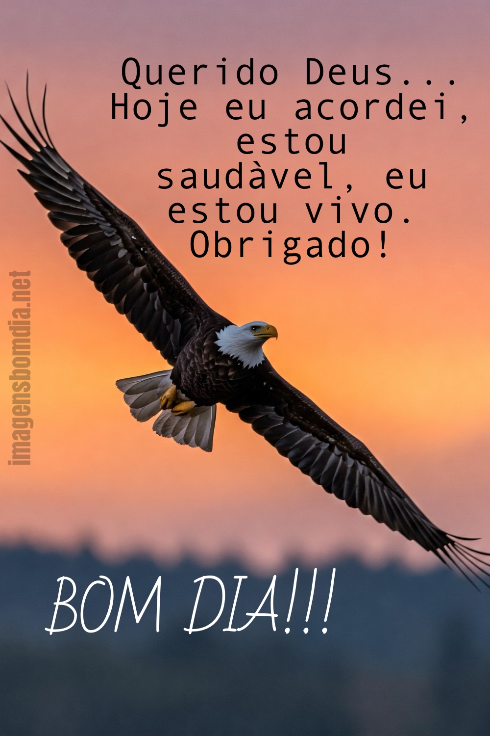 Querido Deus... Hoje eu acordei, estou saudàvel, eu estou vivo. Obrigado! BOM DIA!!!