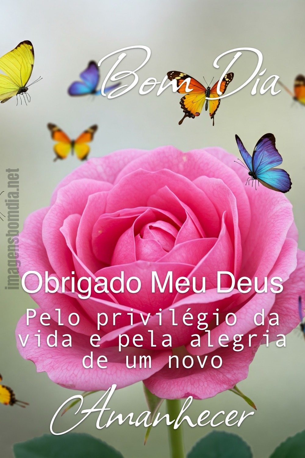 Bom Dia. Obrigado Meu Deus pelo privilégio da vida e pela alegria de um novo amanhecer