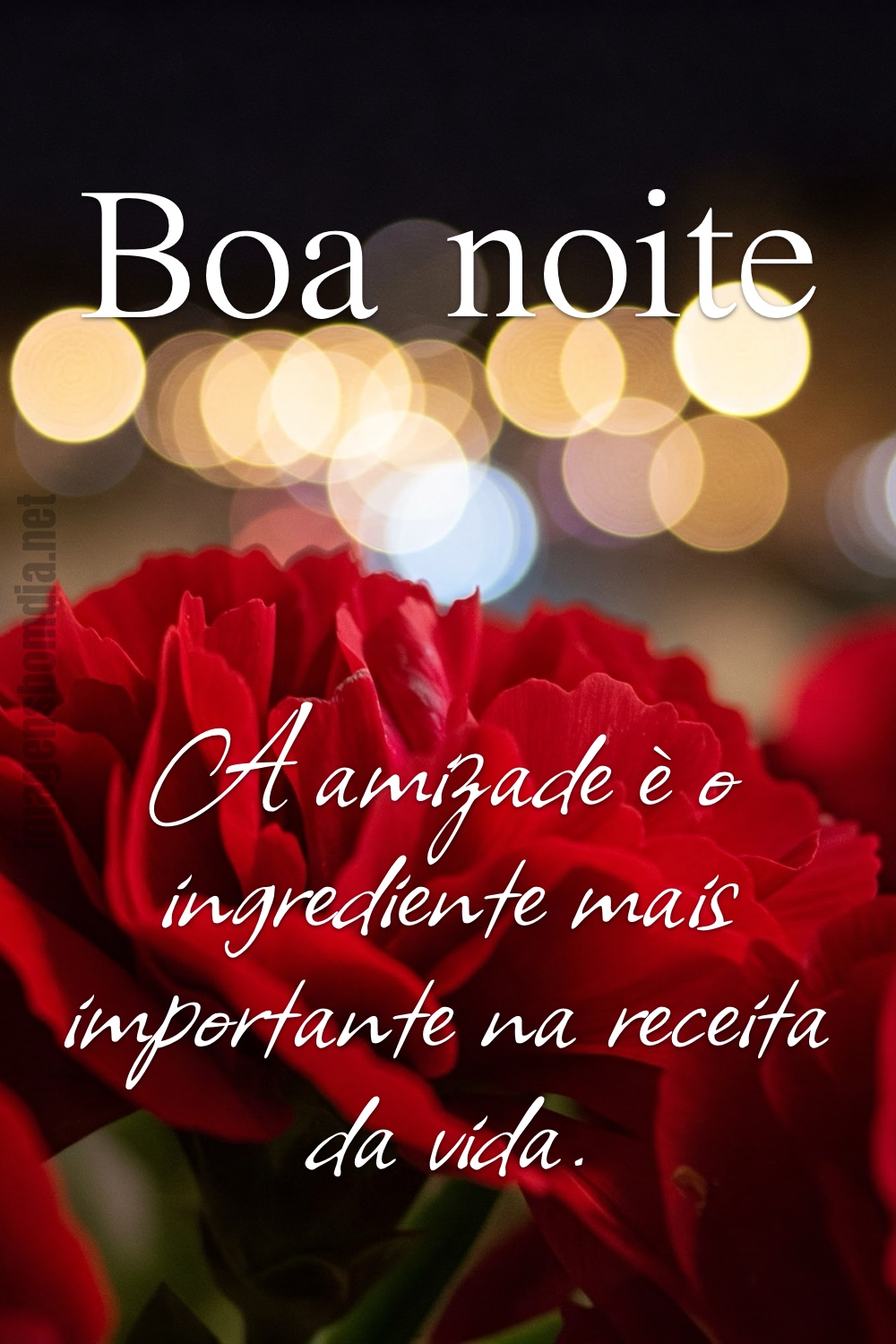 Boa noite. A amizade è o ingrediente mais importante na receita da vida.